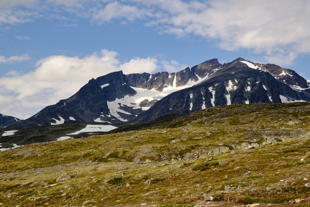 a grassy area with mountains in the background