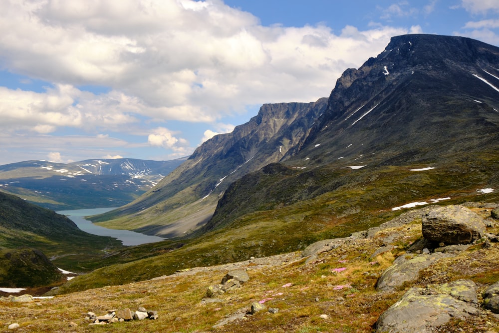 a group of sheep on a grassy hill with mountains in the background