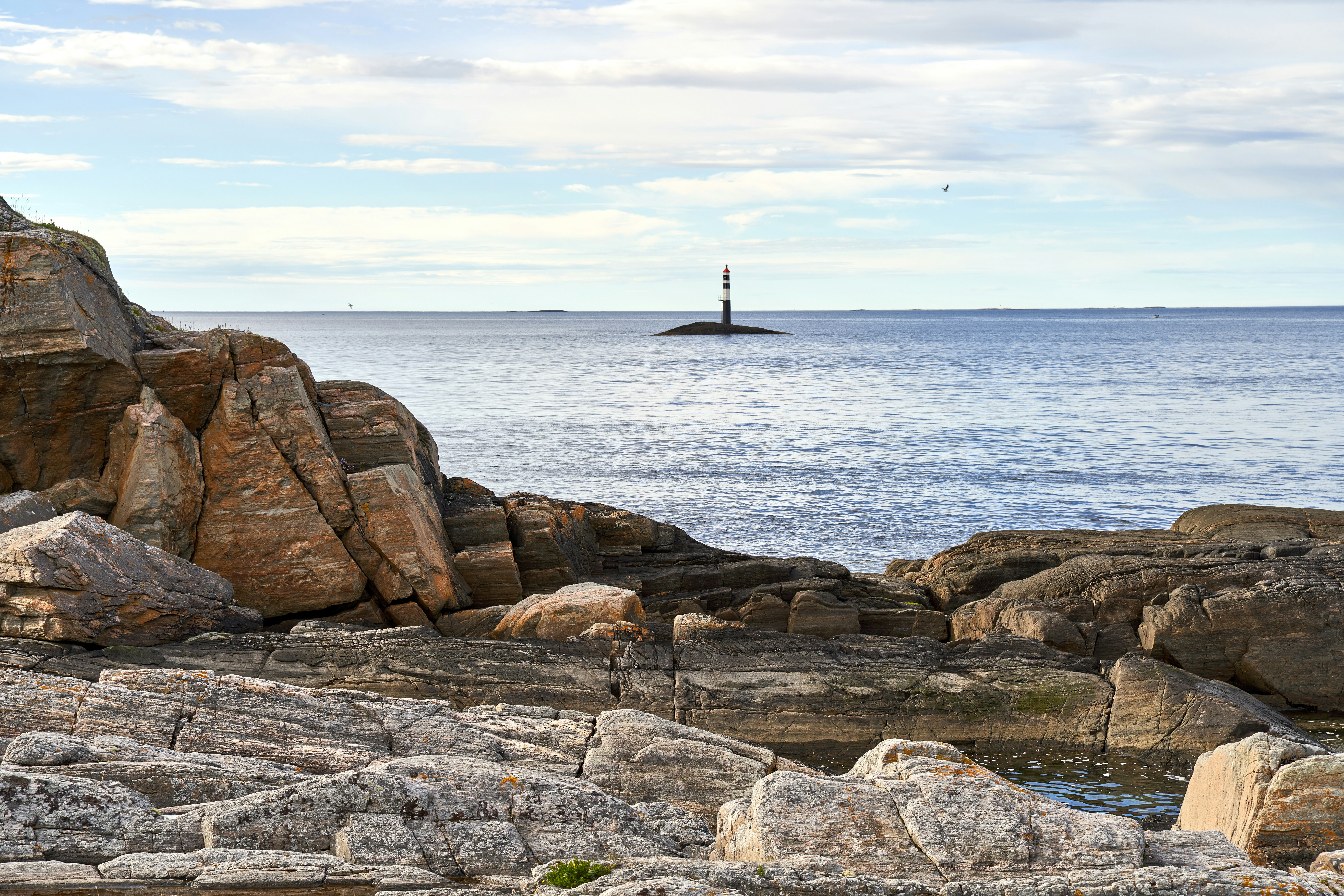 Photo by davotibarna