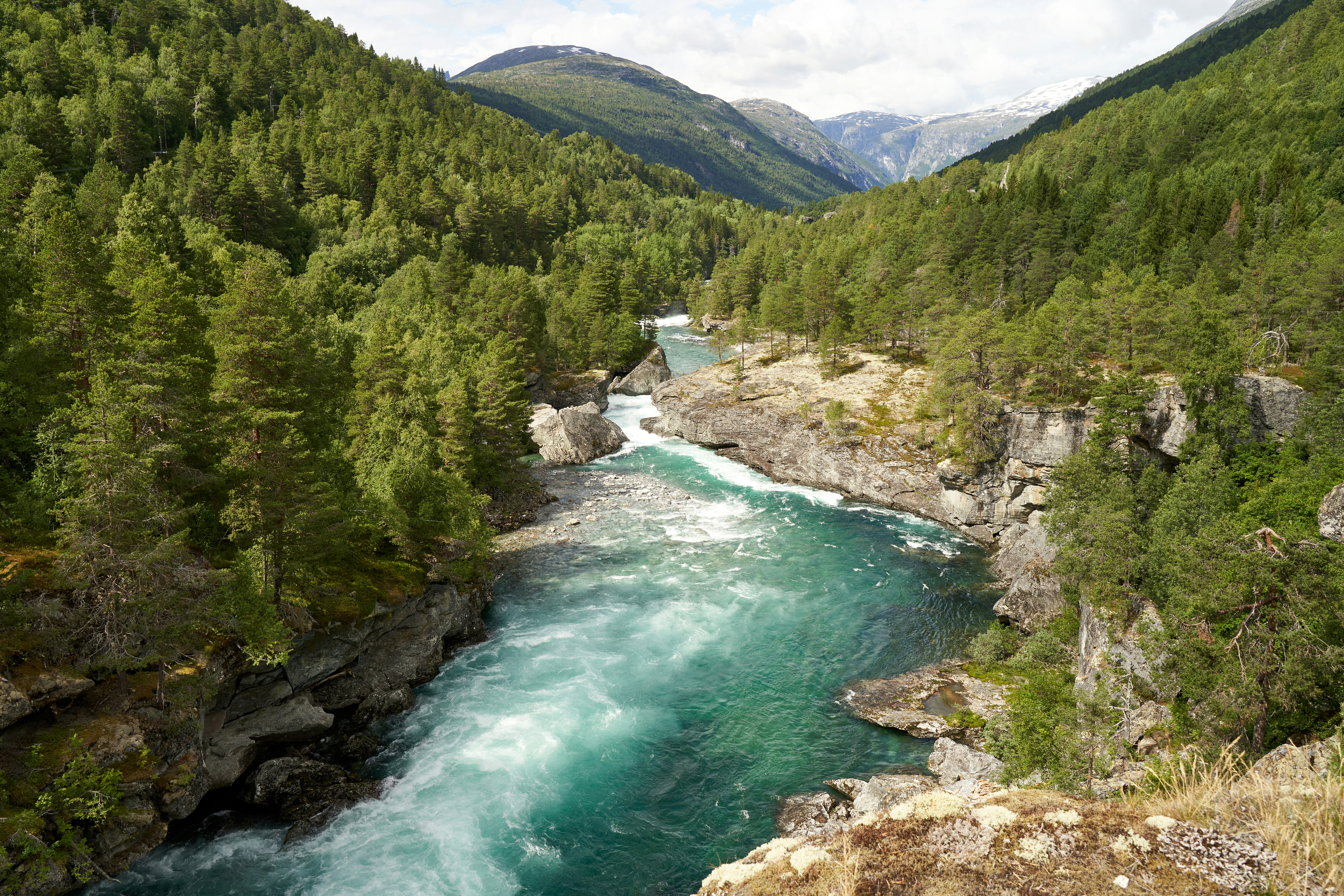 Photo by davotibarna