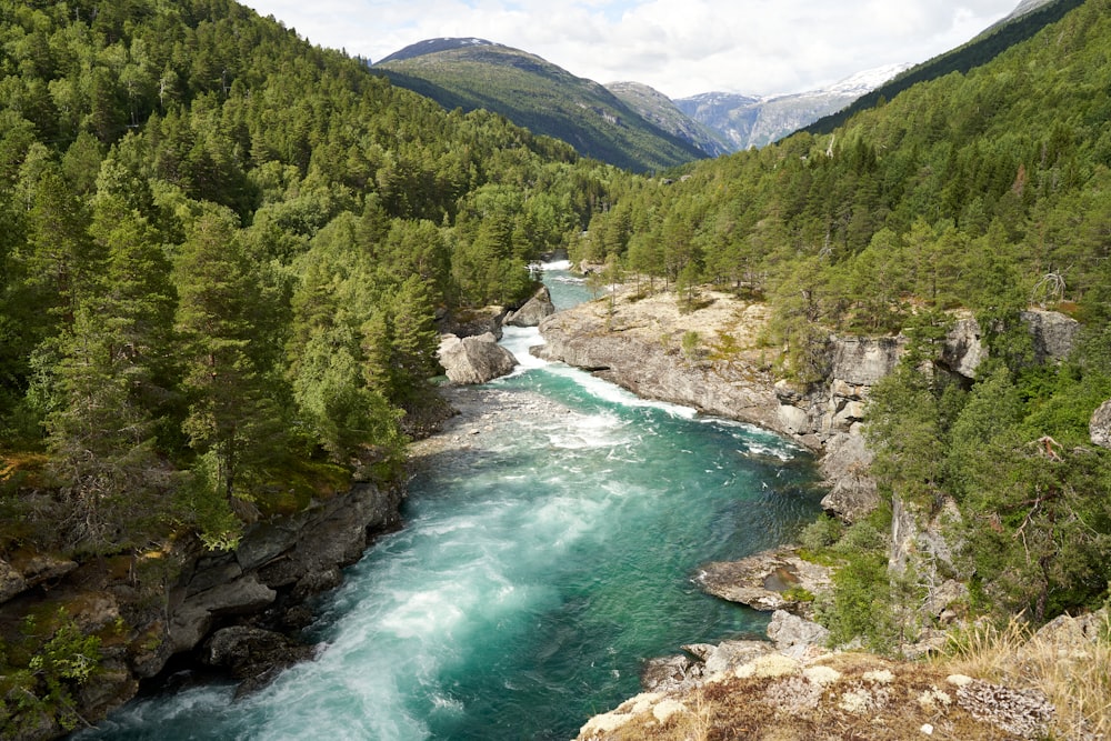 a river running through a valley