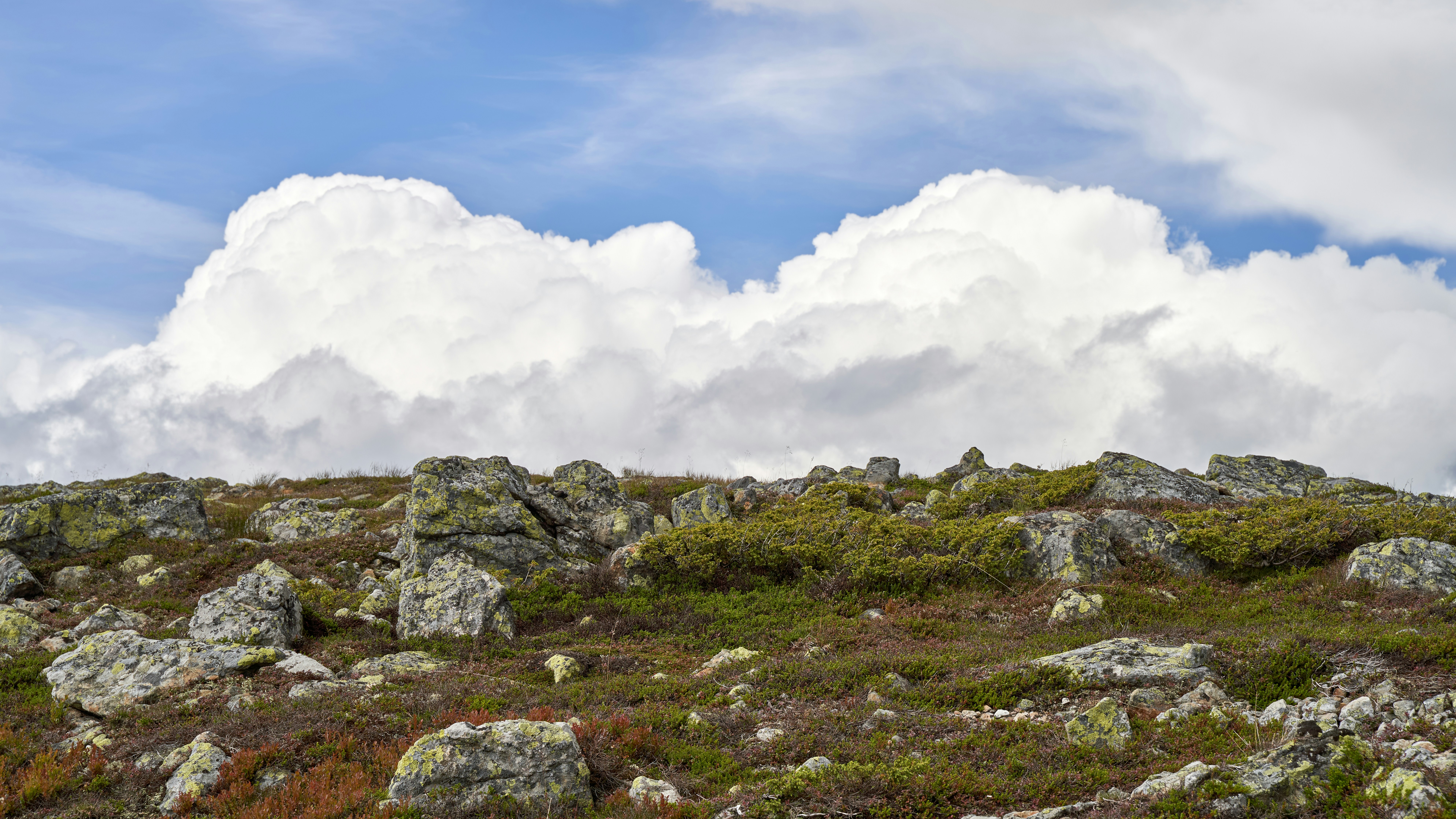 Photo by davotibarna