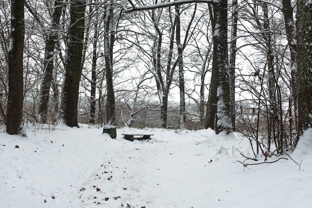 a snowy park with benches