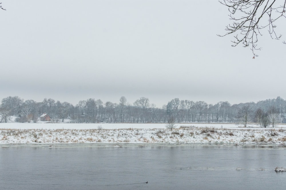 a lake with snow and trees