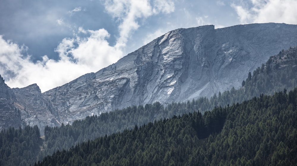 a mountain with trees and clouds