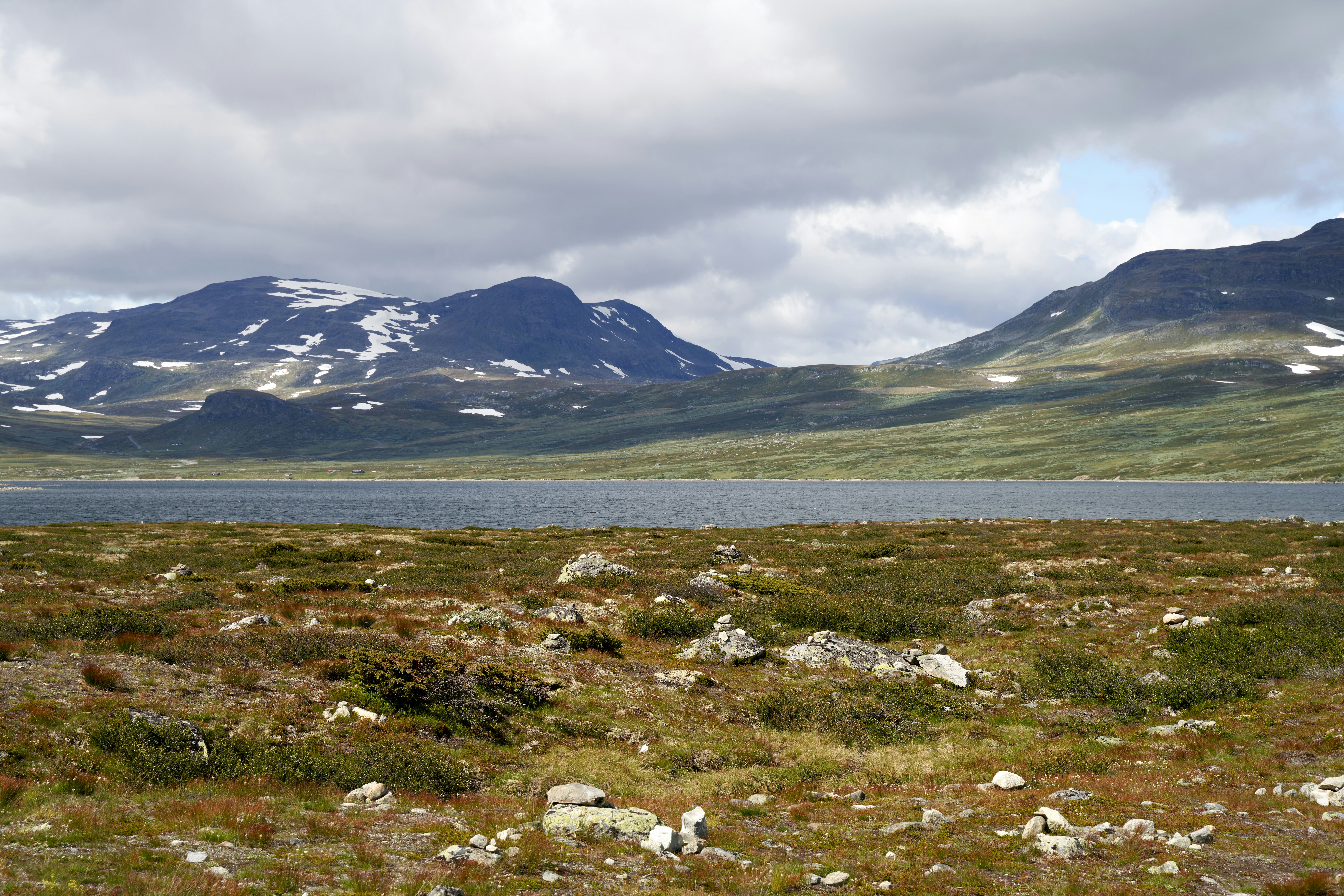 Photo by davotibarna