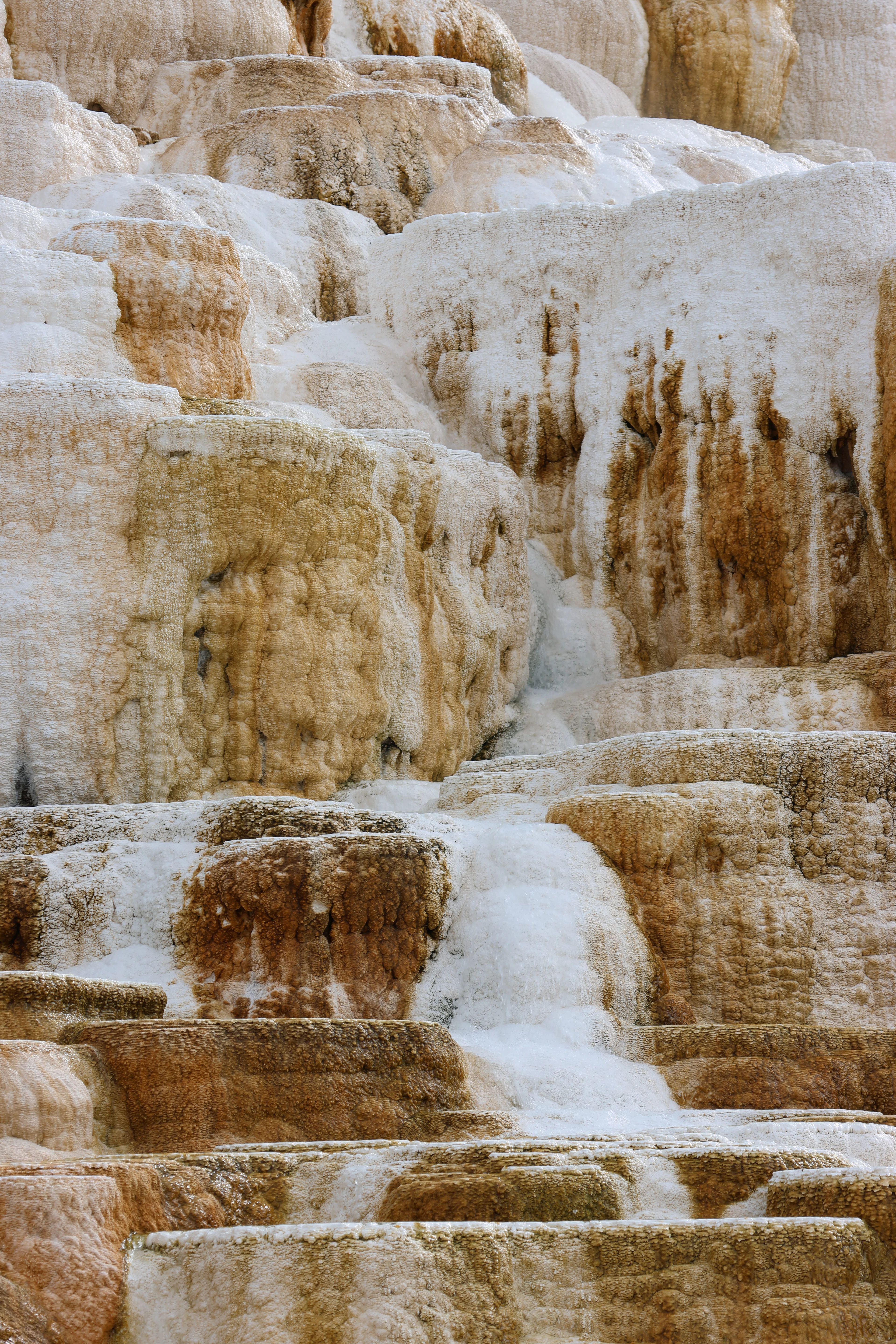 Layered natural travertine with cream and ochre mineral banding