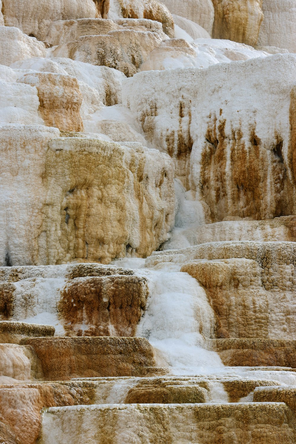 a close-up of some rocks