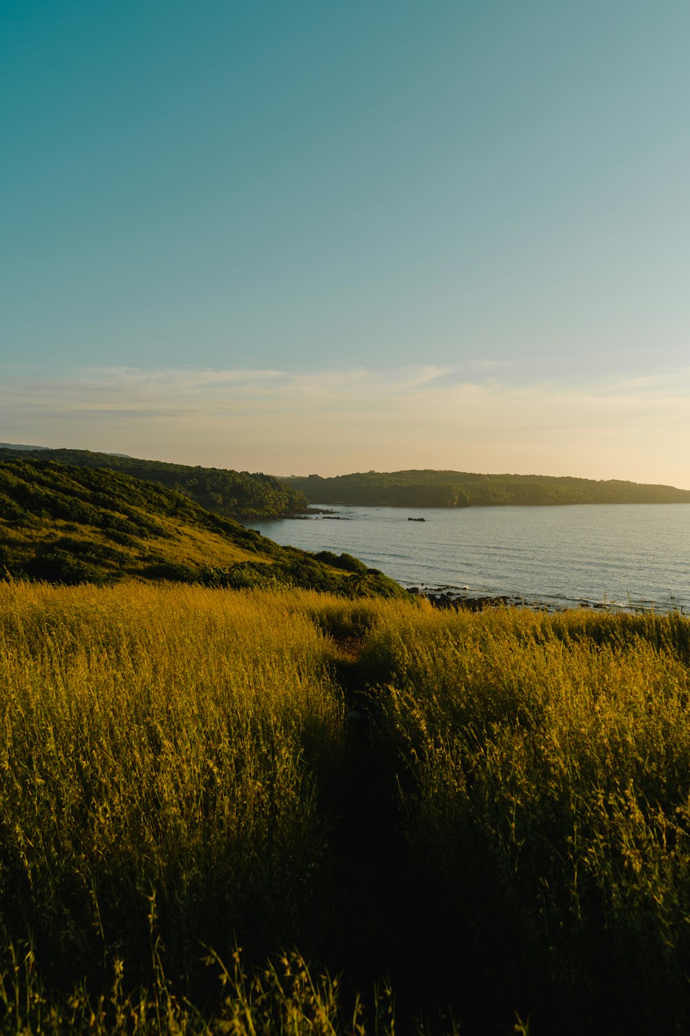 a grassy area next to a body of water