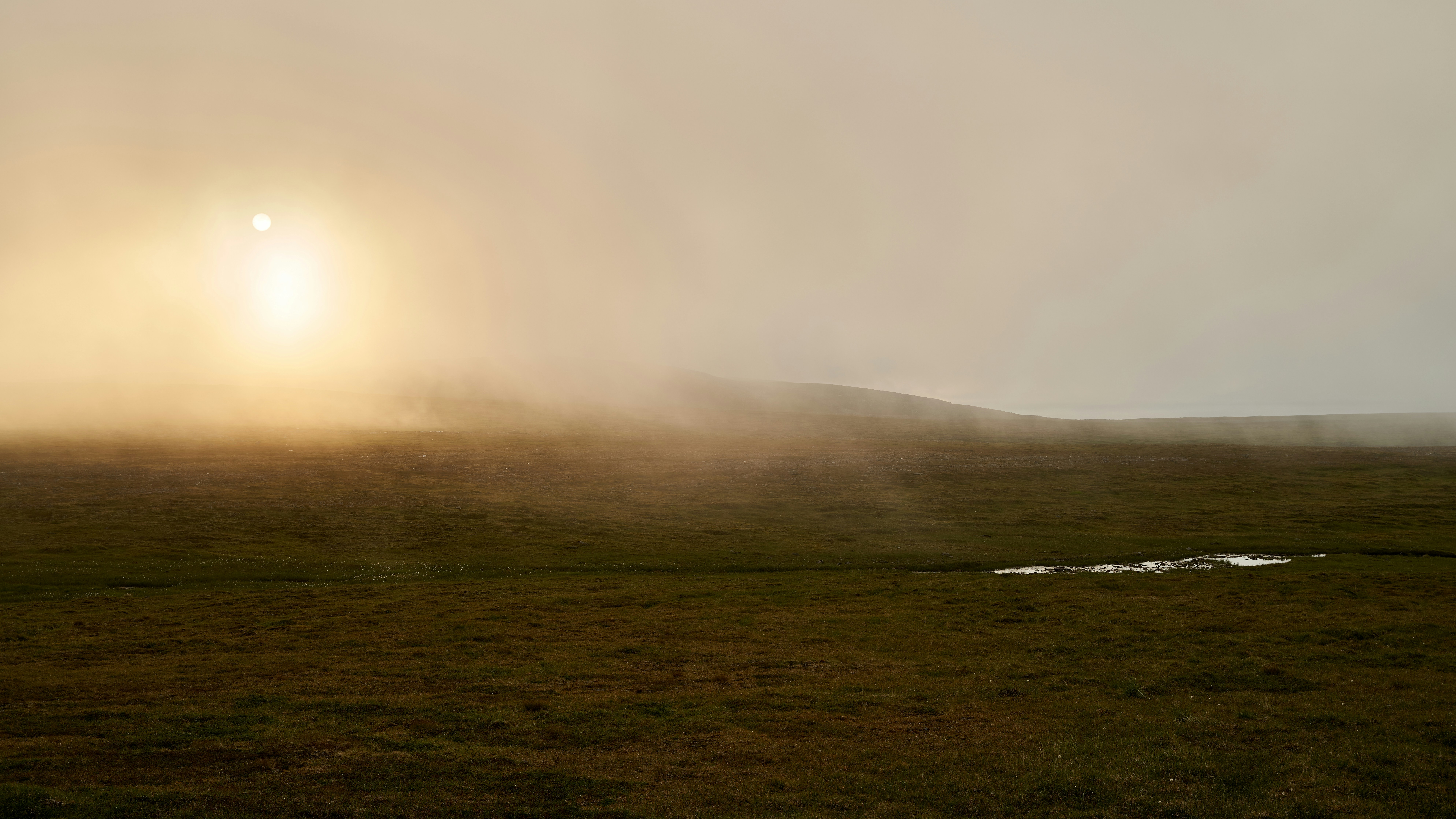 Photo by davotibarna