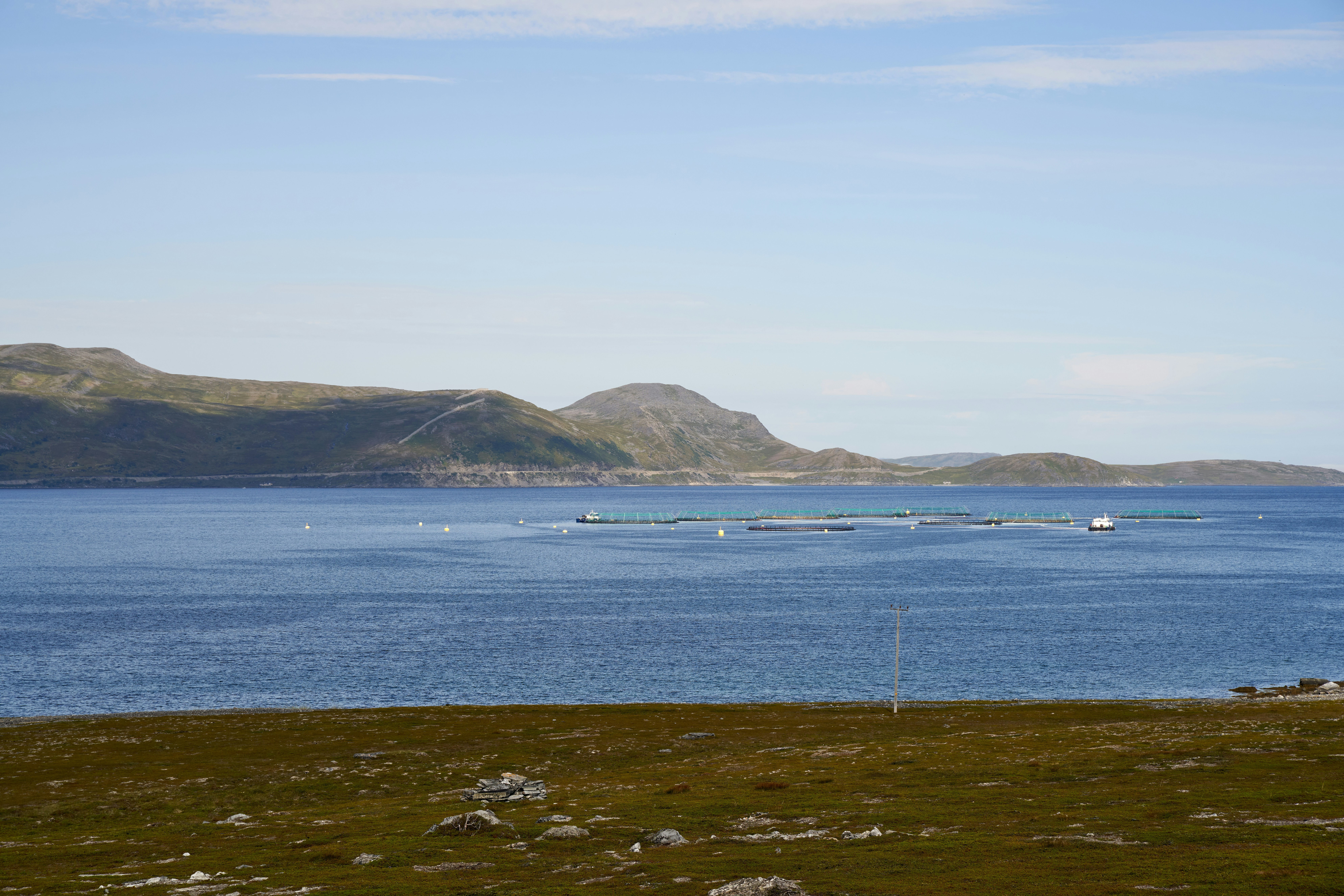 Photo by davotibarna