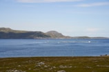 A serene coastal landscape with a vast blue sea stretching out towards distant hills. In the water, a series of rectangular fish farms or similar structures are present, with a small boat nearby. The foreground features a rocky, grassy area with sparse vegetation.