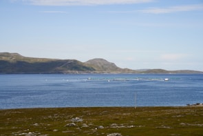 A serene coastal landscape with a vast blue sea stretching out towards distant hills. In the water, a series of rectangular fish farms or similar structures are present, with a small boat nearby. The foreground features a rocky, grassy area with sparse vegetation.