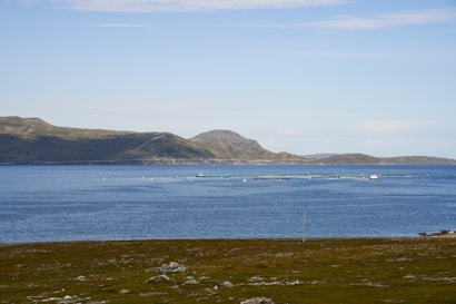 A serene coastal landscape with a vast blue sea stretching out towards distant hills. In the water, a series of rectangular fish farms or similar structures are present, with a small boat nearby. The foreground features a rocky, grassy area with sparse vegetation.