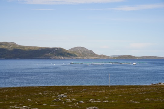 A serene coastal landscape with a vast blue sea stretching out towards distant hills. In the water, a series of rectangular fish farms or similar structures are present, with a small boat nearby. The foreground features a rocky, grassy area with sparse vegetation.