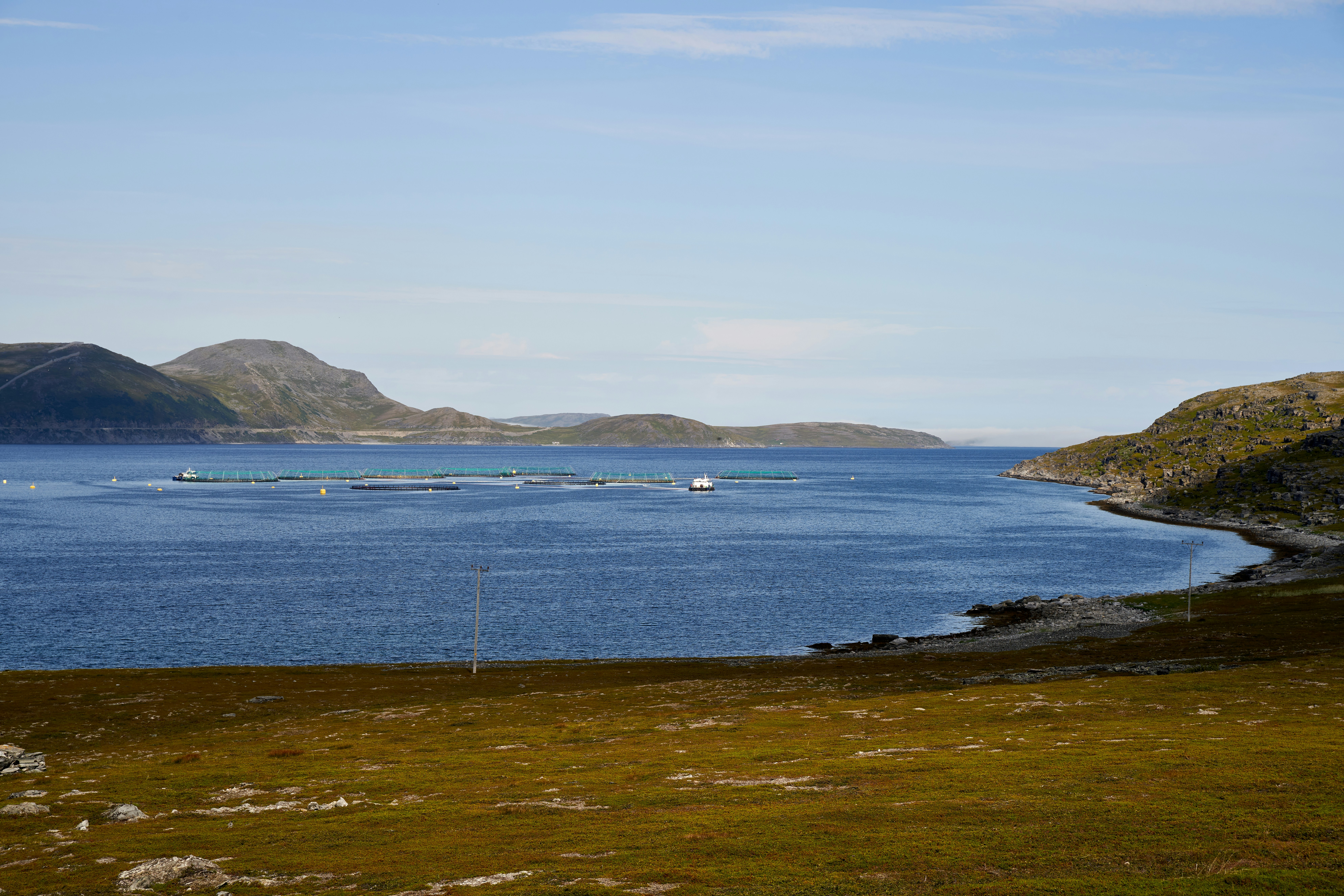 Photo by davotibarna