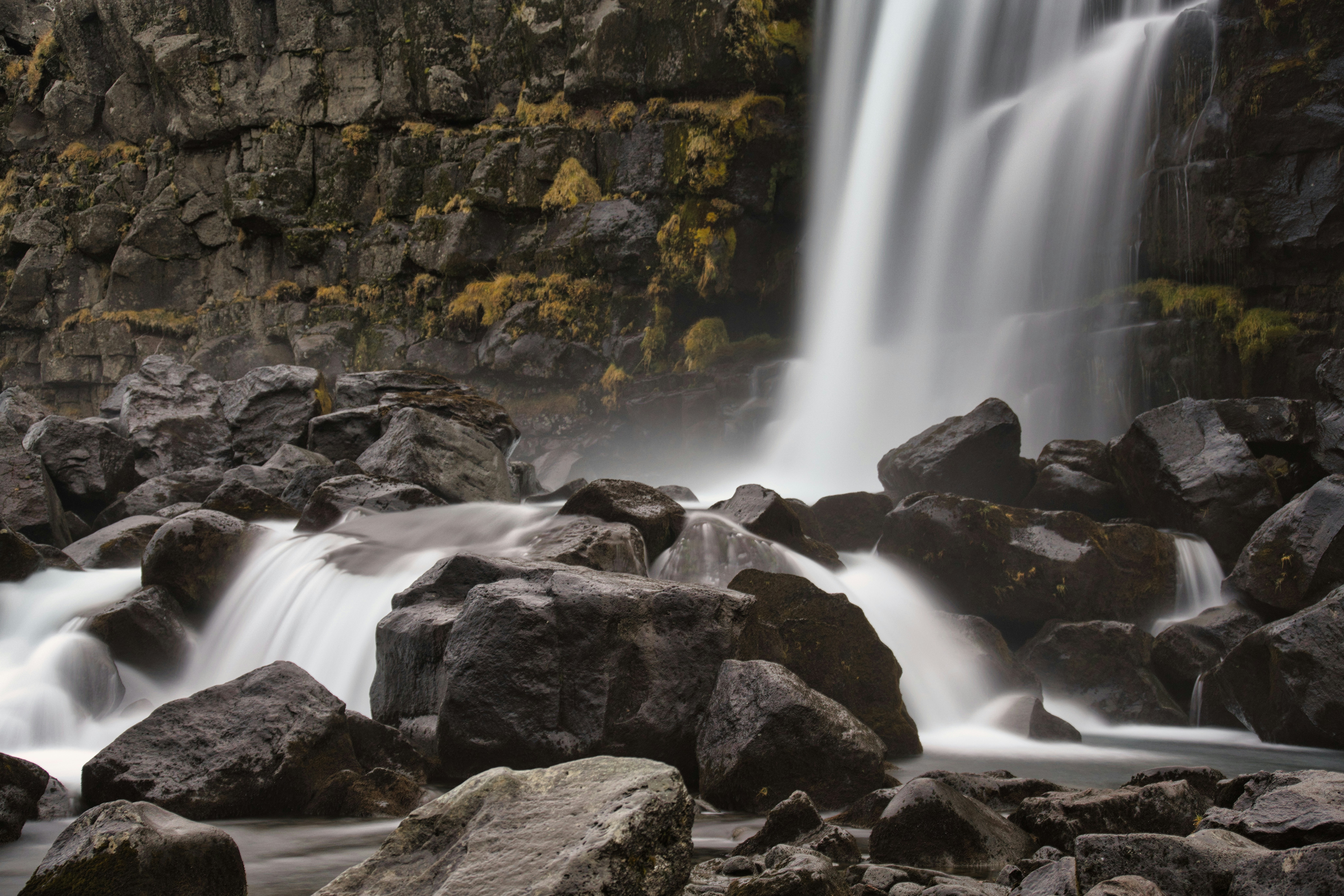 Photo by gabor_koszegi