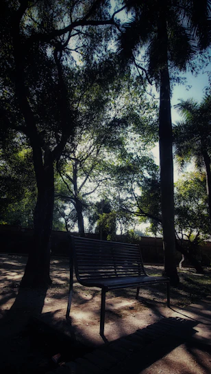 A shadowed investigator discreetly observing a couple from a distance in a serene park setting.