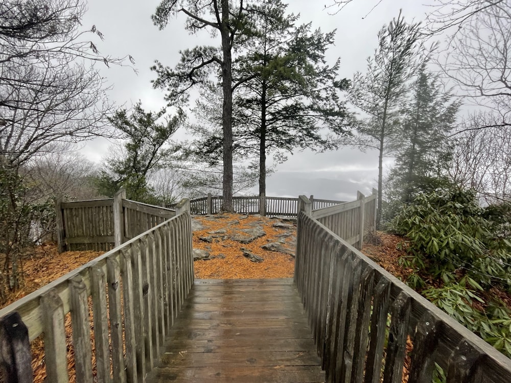 a wooden bridge with railings and trees on either side of it