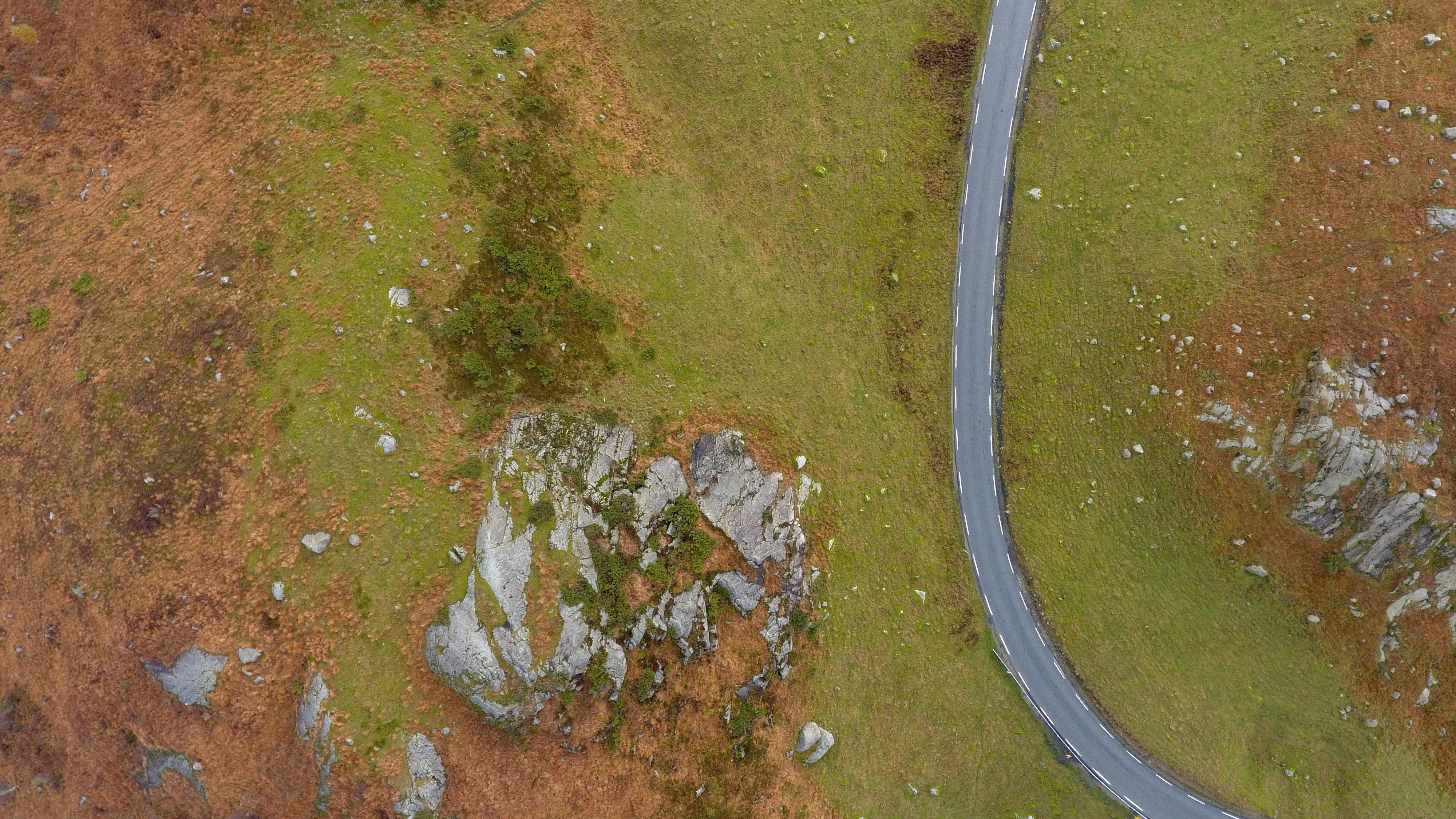 Photo by cristian_s77