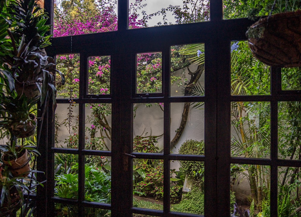 a window with a view of a garden and a house