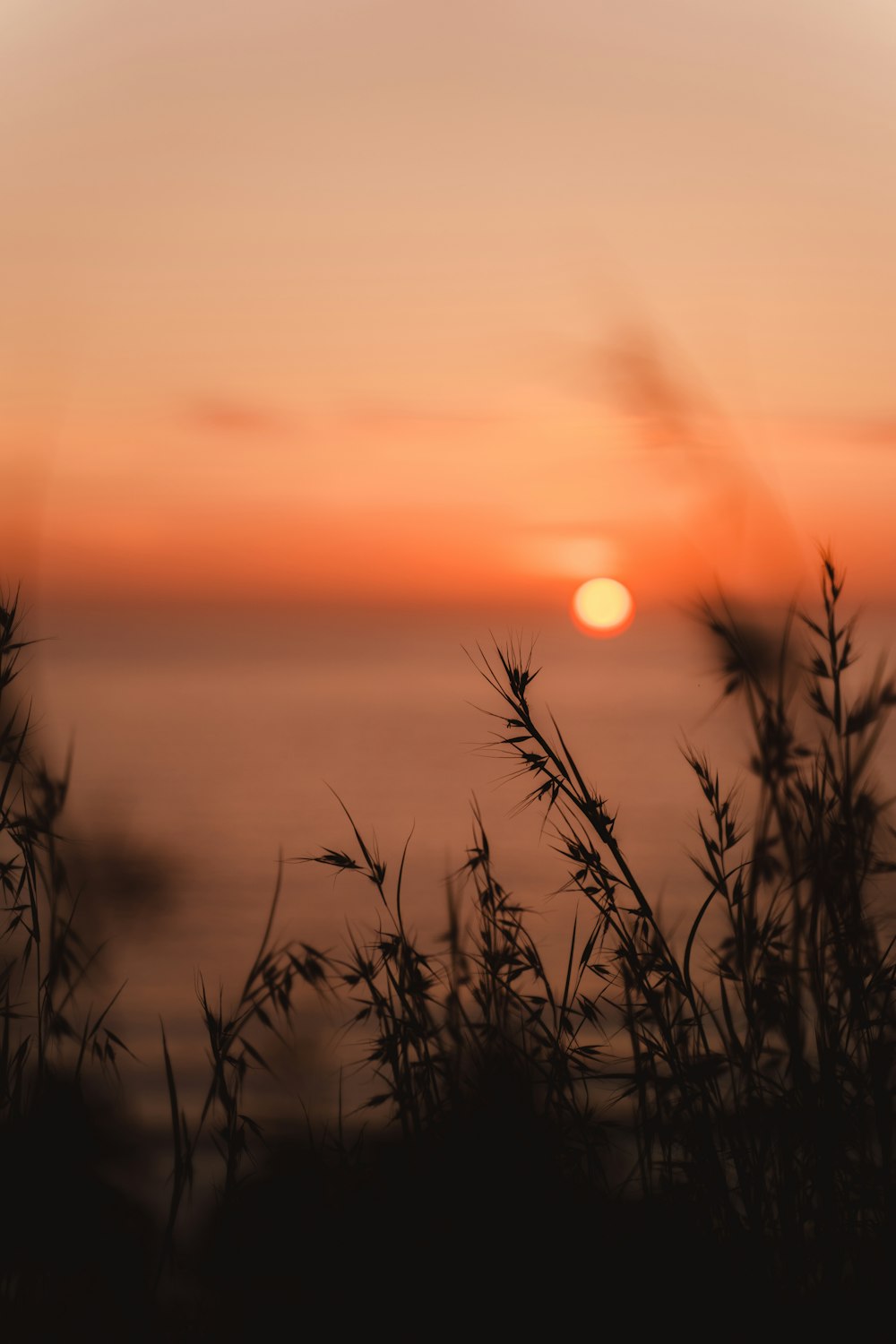 a sunset over a body of water