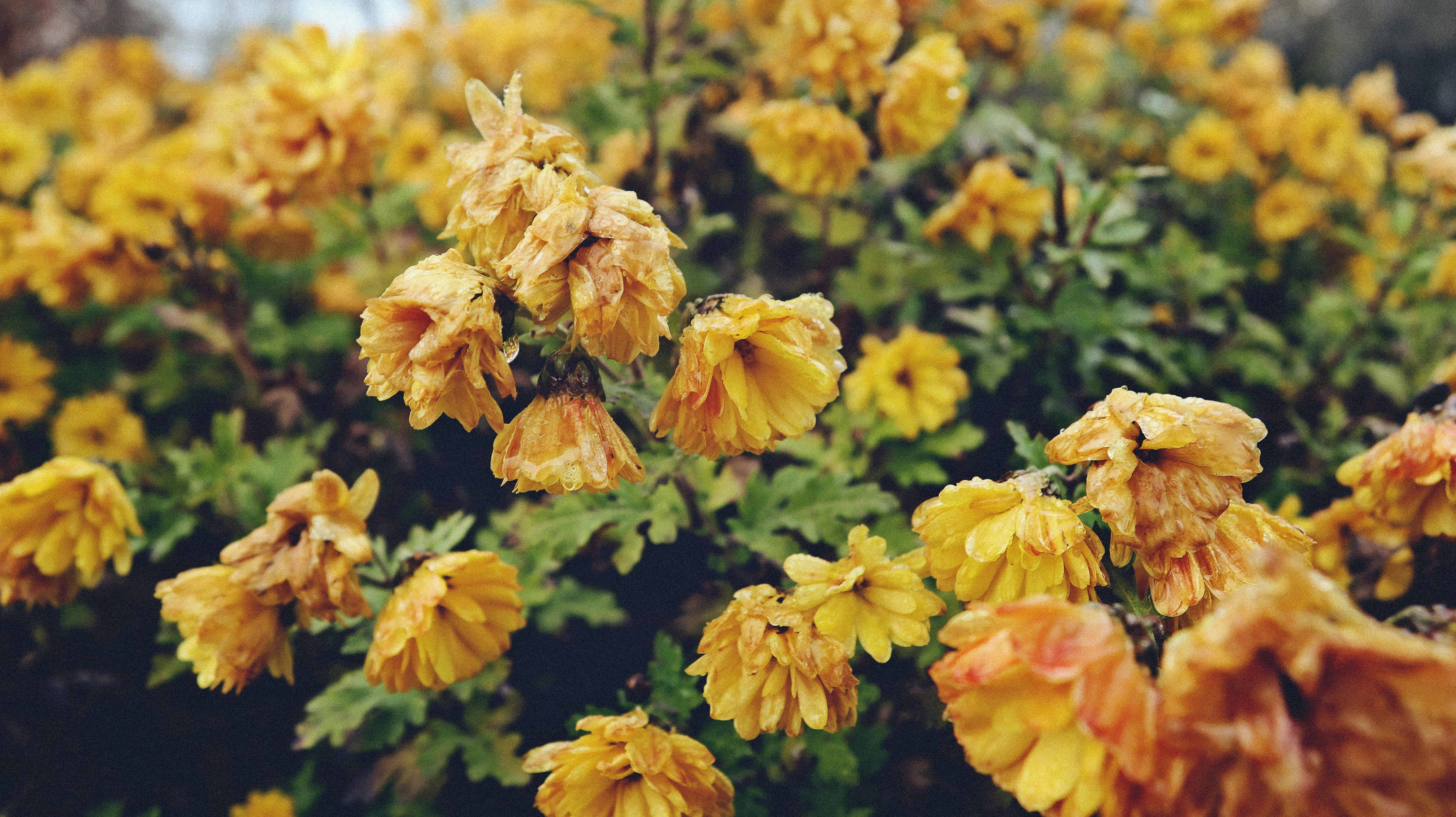 Photo by tolikrurac82