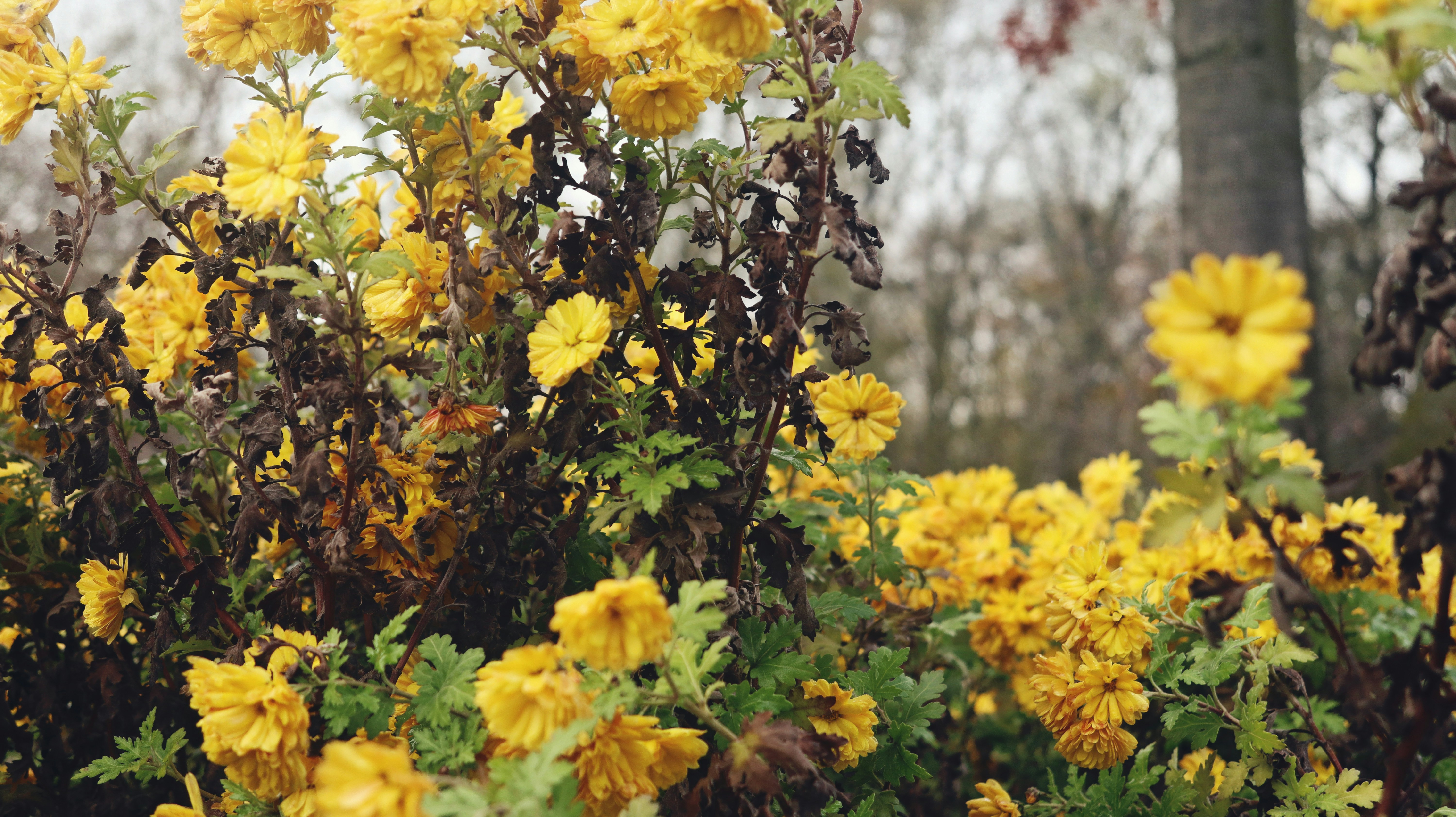 Photo by tolikrurac82