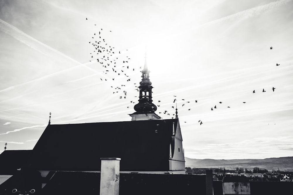 birds flying over a church