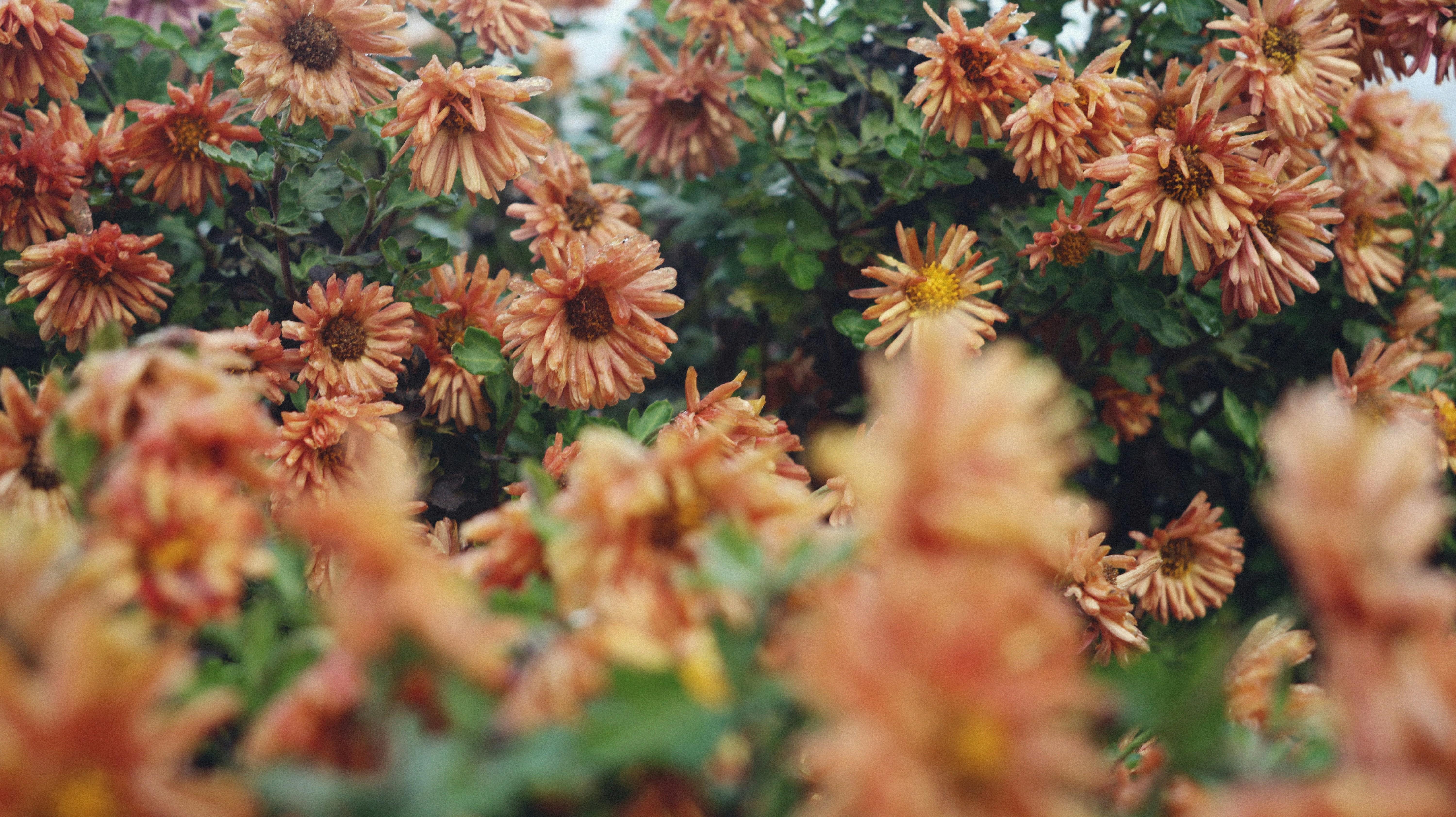 Photo by tolikrurac82