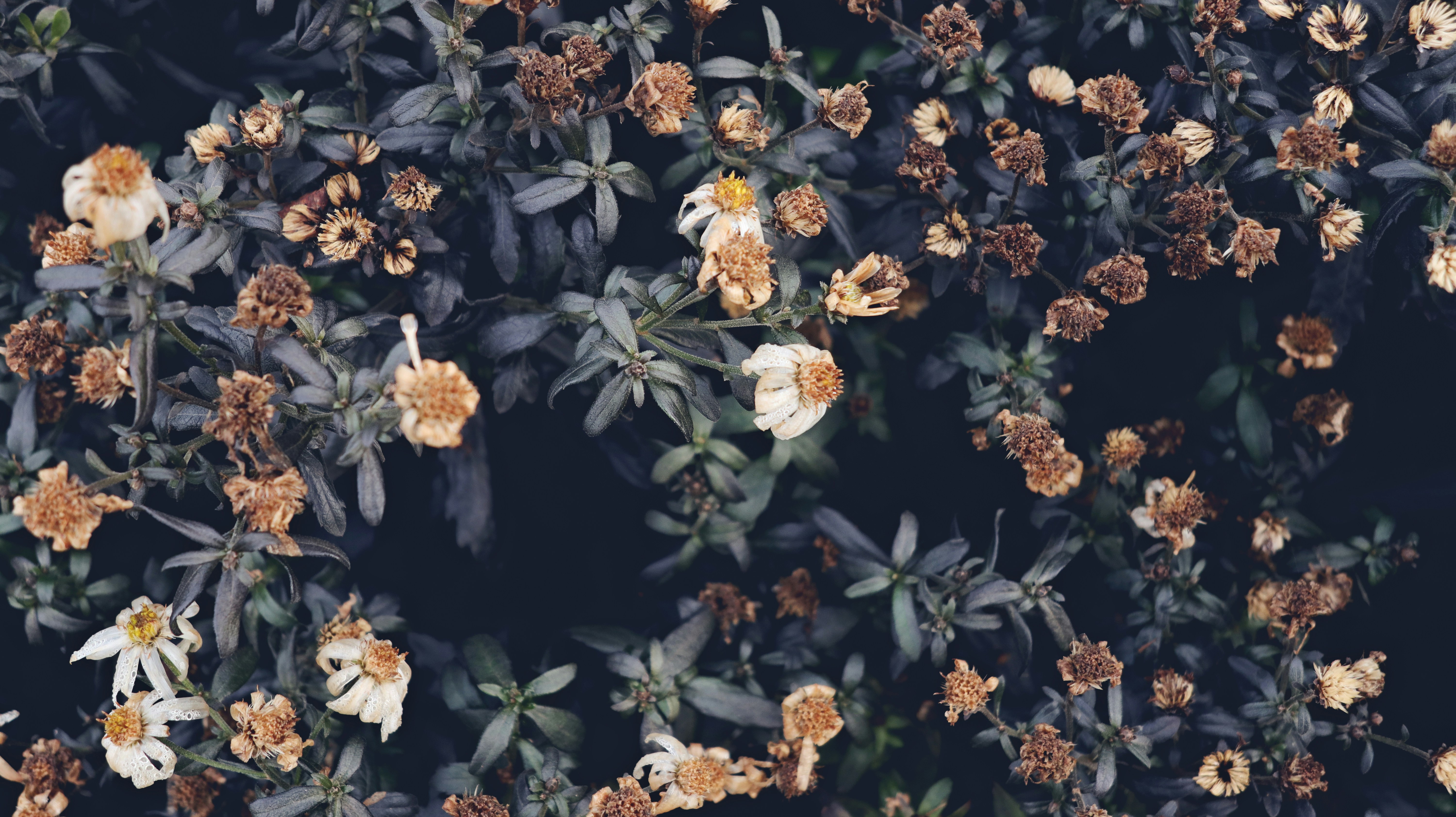 Photo by tolikrurac82