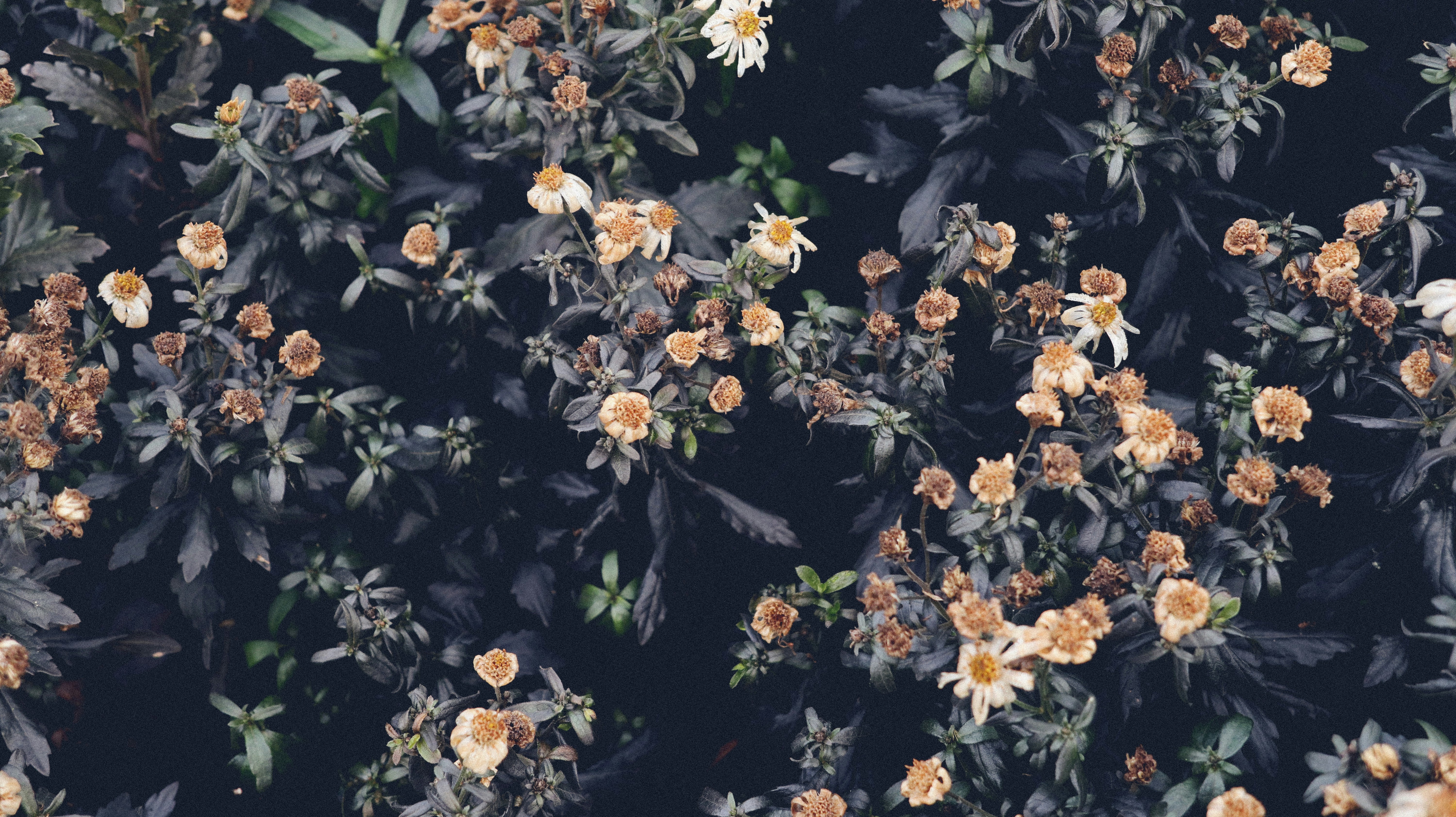 Photo by tolikrurac82