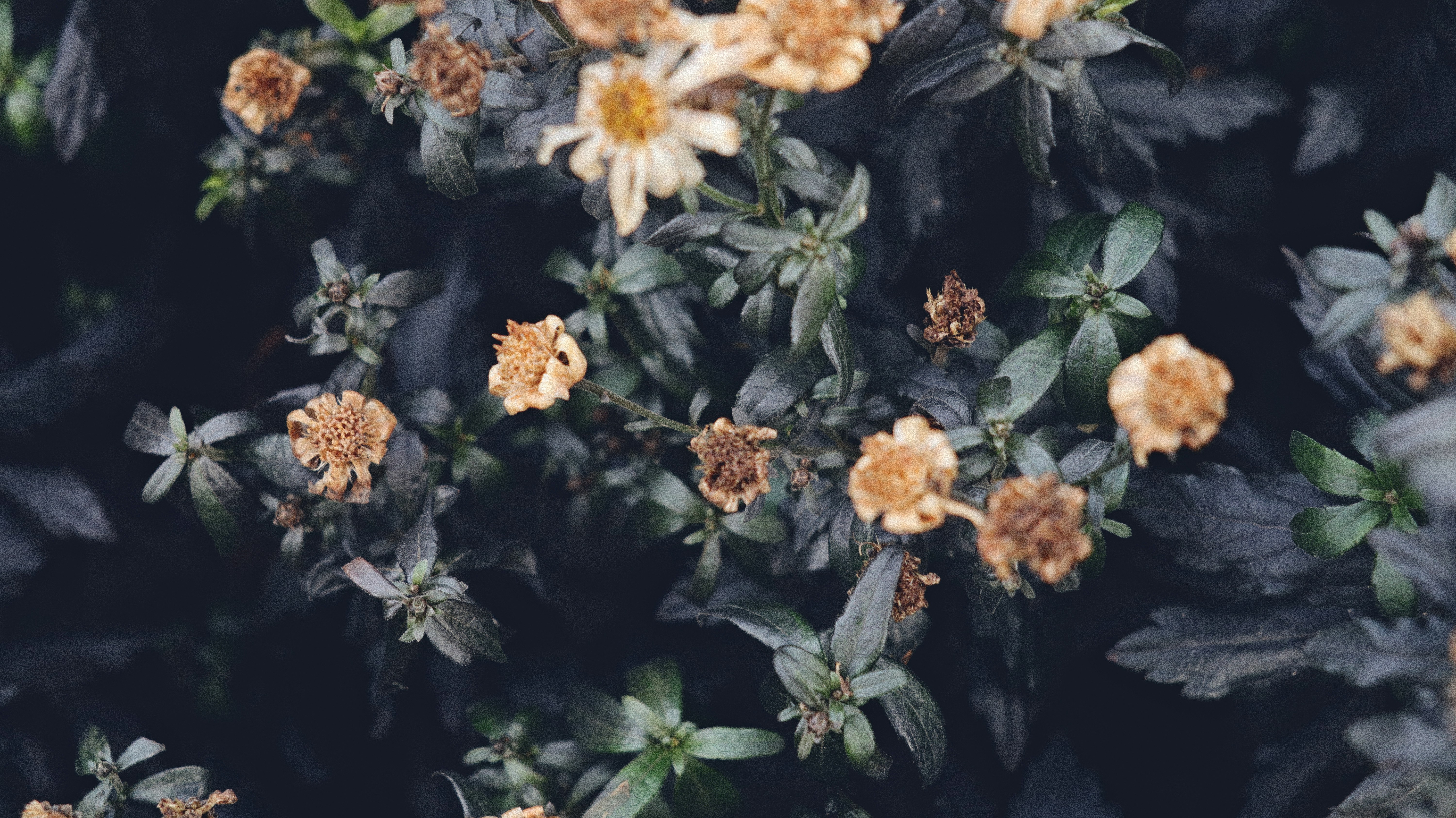 Photo by tolikrurac82