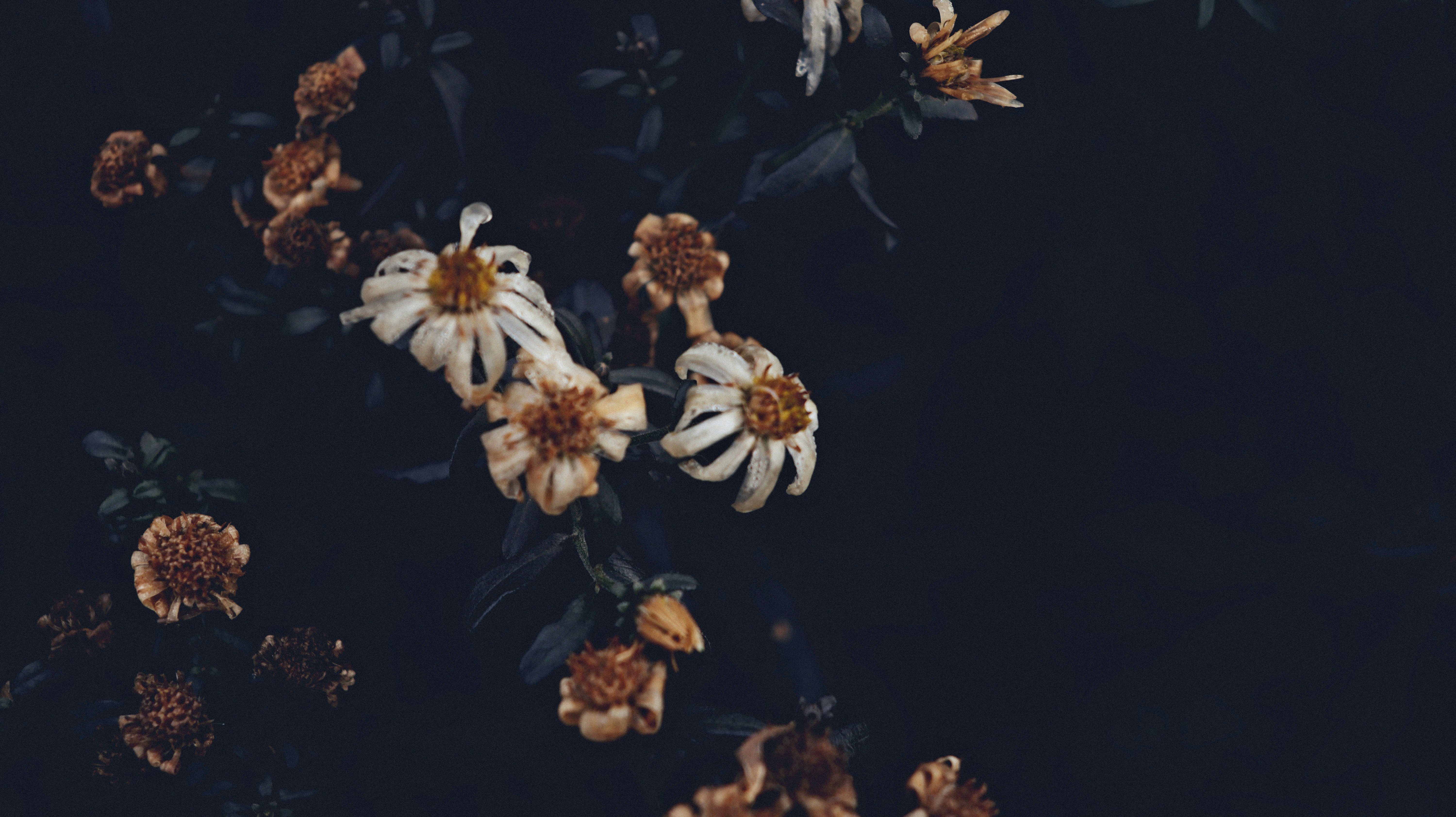 Photo by tolikrurac82