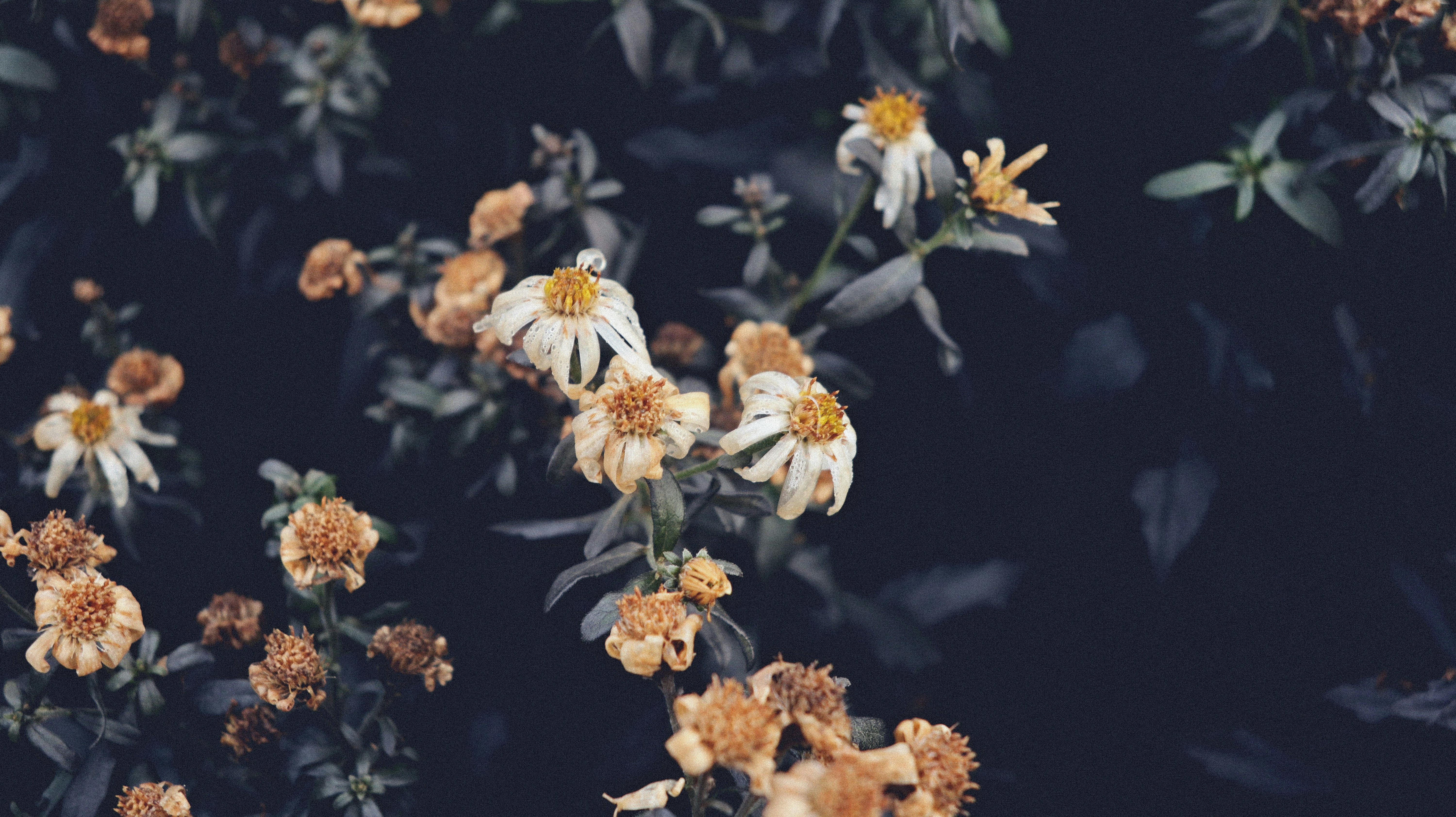 Photo by tolikrurac82