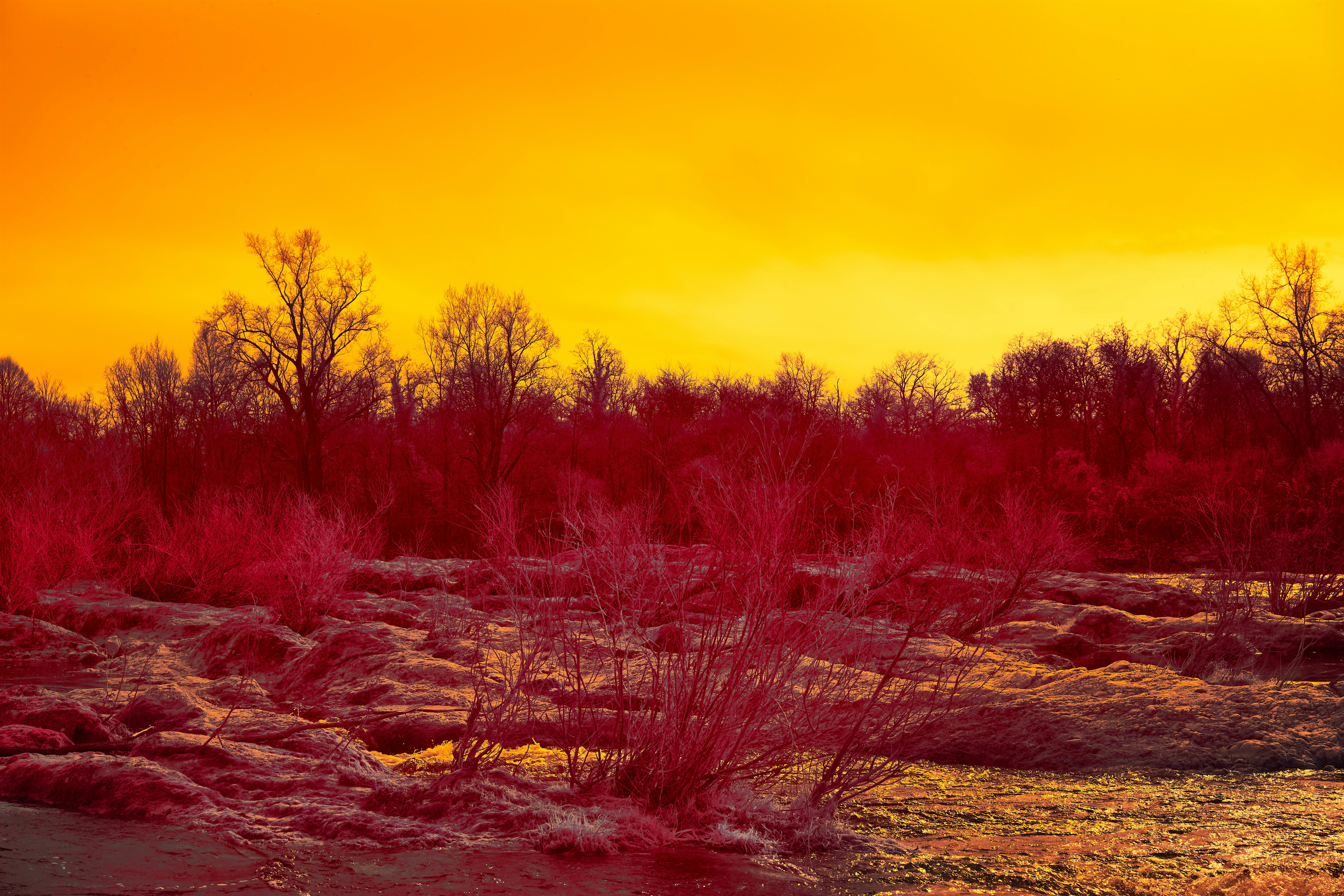 Photo by wolfgang_hasselmann