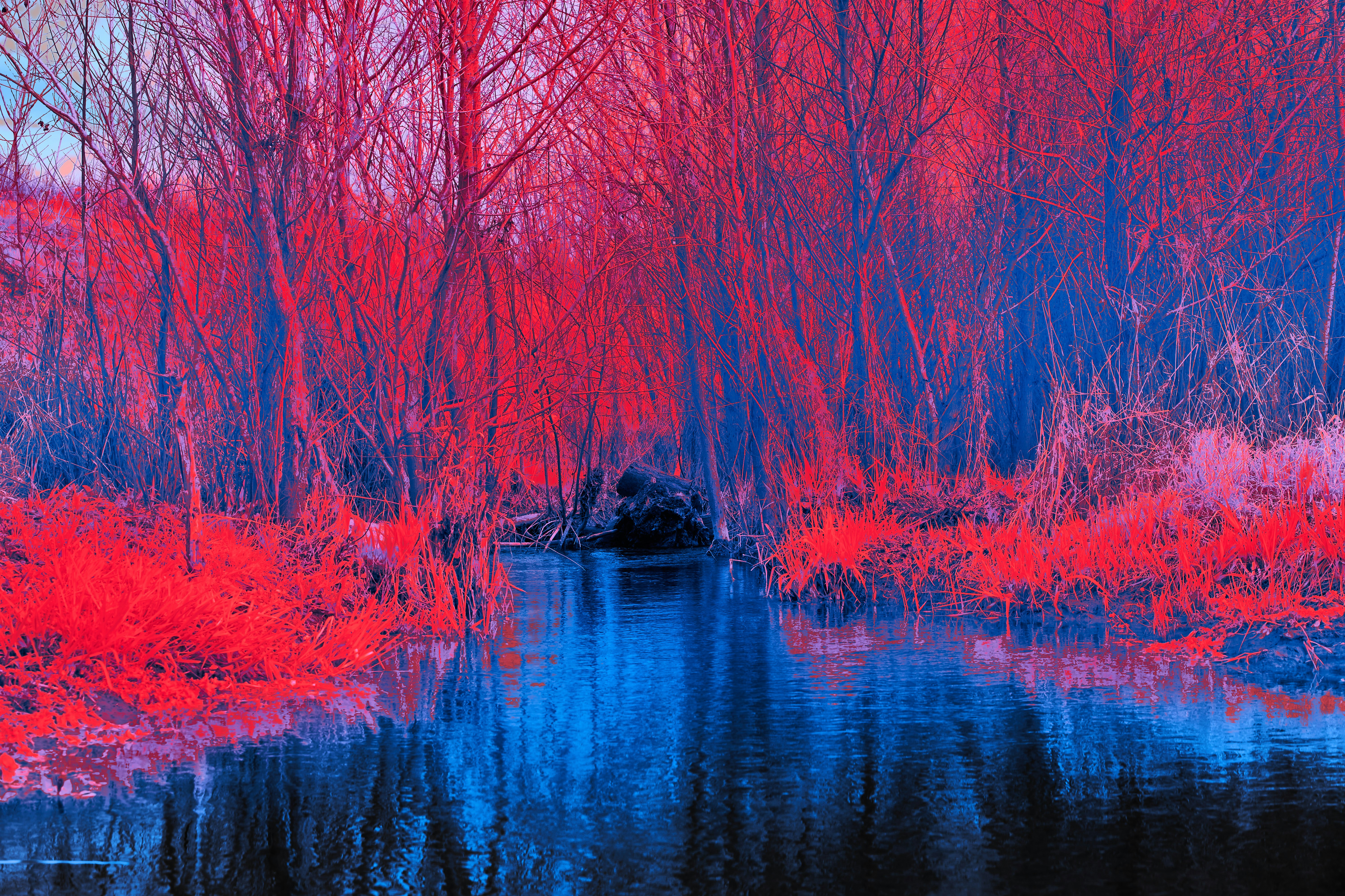 Photo by wolfgang_hasselmann