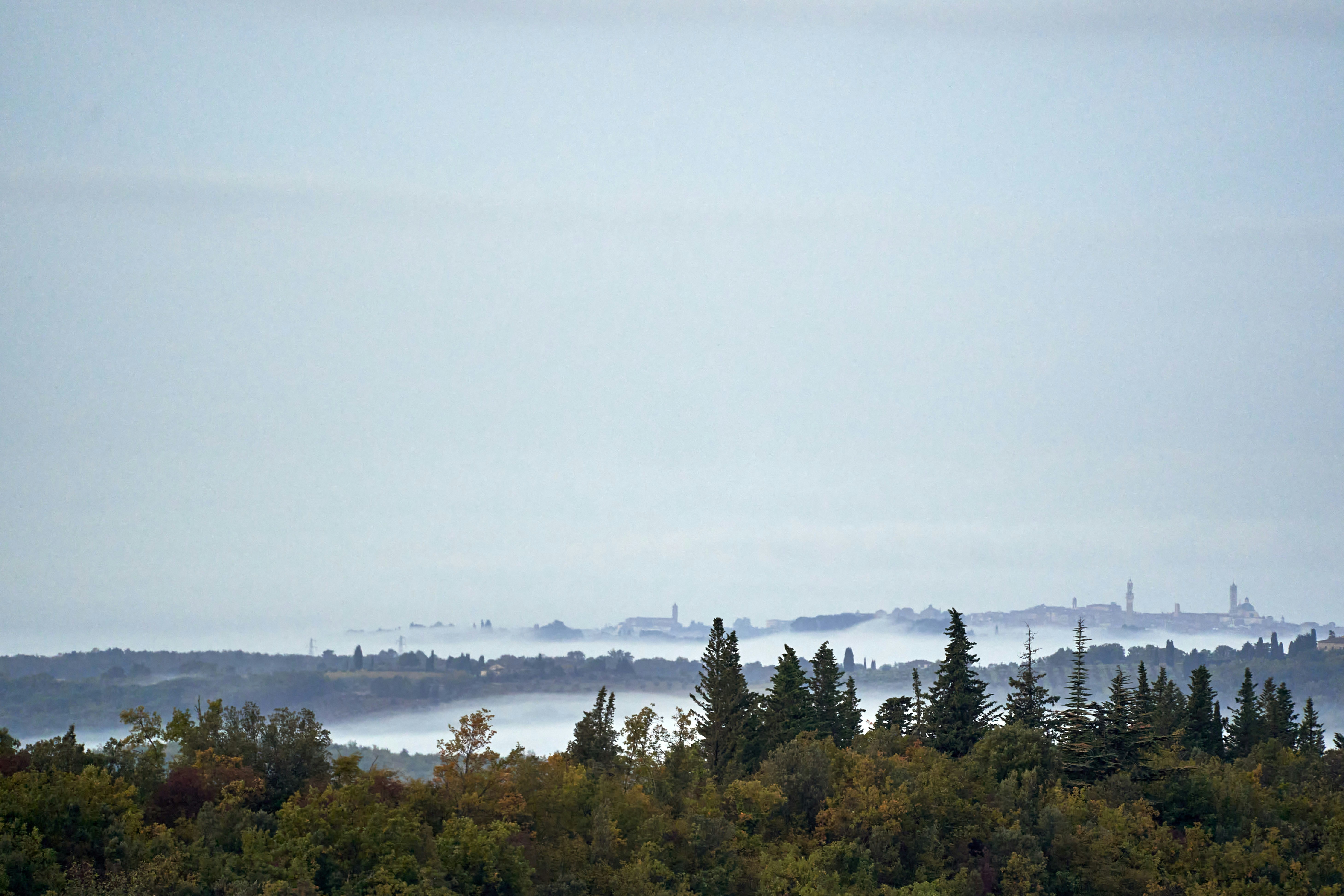 Photo by wolfgang_hasselmann