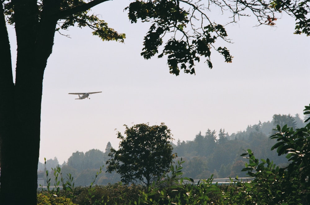a plane flying over trees