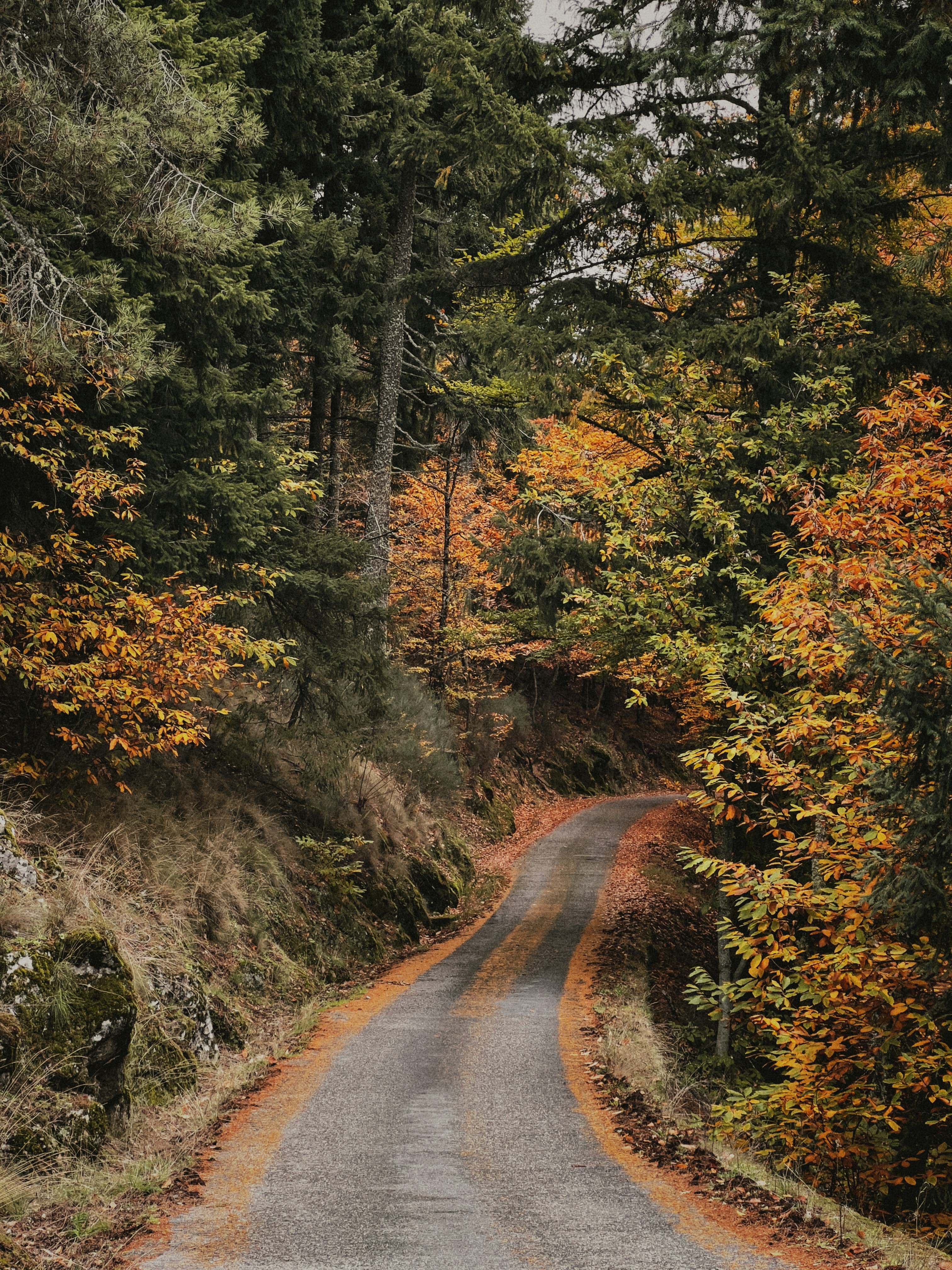 Photo by marcocipriano