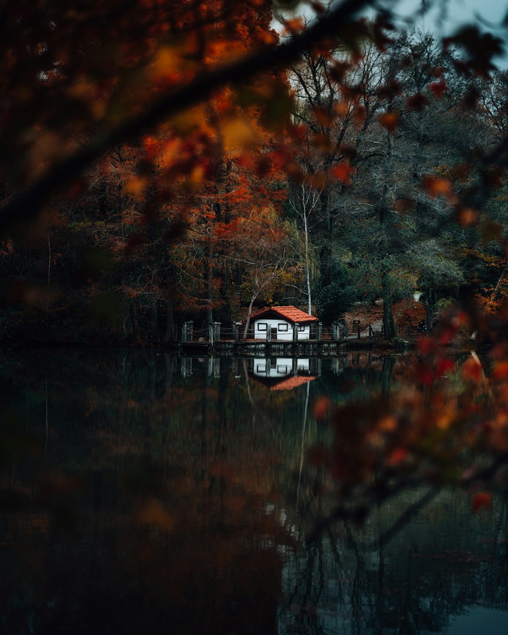 Ein Haus auf einem Dock, umgeben von Bäumen