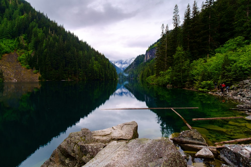 Un fiume con rocce e alberi