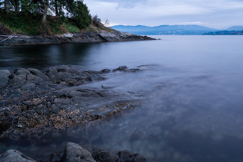 a rocky beach with trees and water