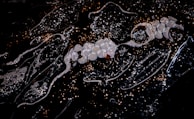 The image displays an abstract scene with shimmering reflections and clusters of circular, white shapes set against a dark background. The scene is characterized by intricate patterns, possibly created by light hitting textured surfaces, giving it a dynamic and layered appearance.
