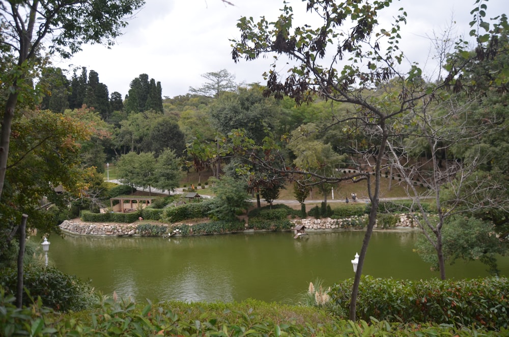 a pond surrounded by trees and bushes
