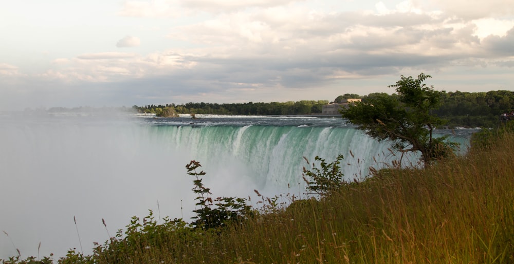 a body of water with grass and trees around it