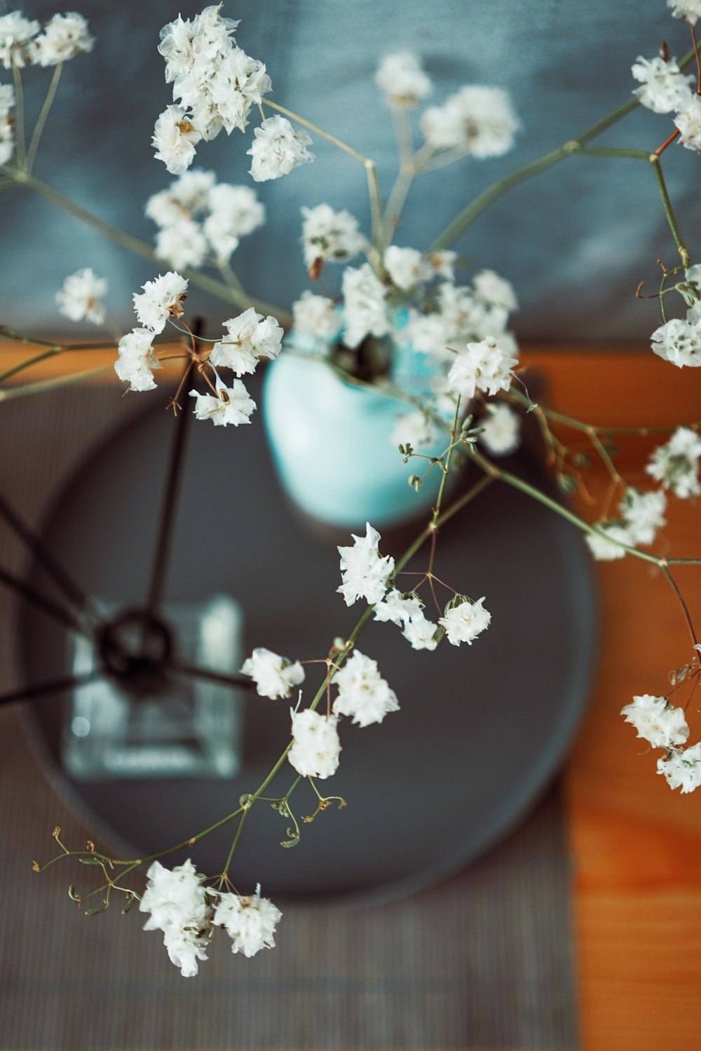 a vase with white flowers