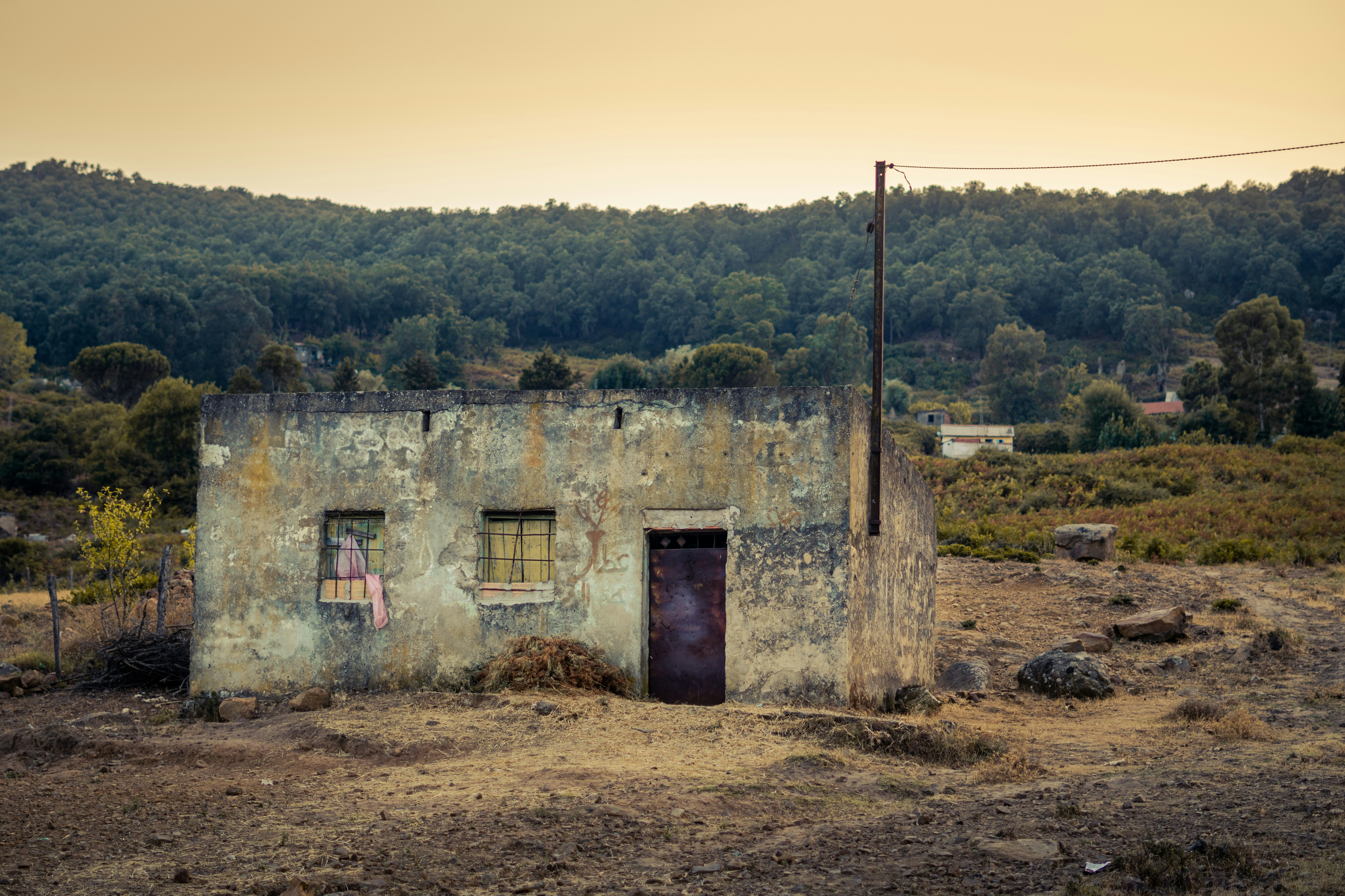 Photo by bilelzaghdoudi