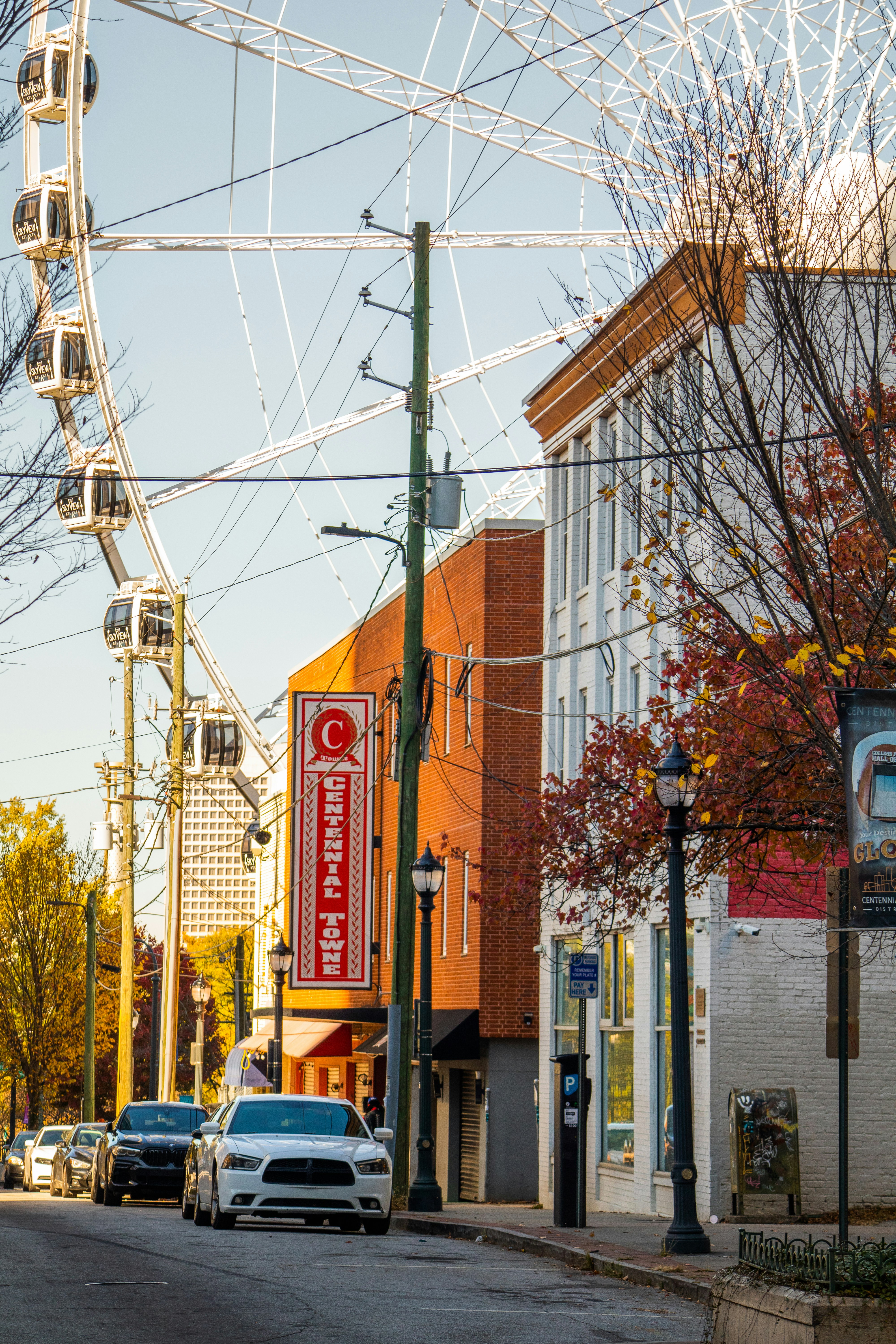 Experiencing Rtveli as a Visitor