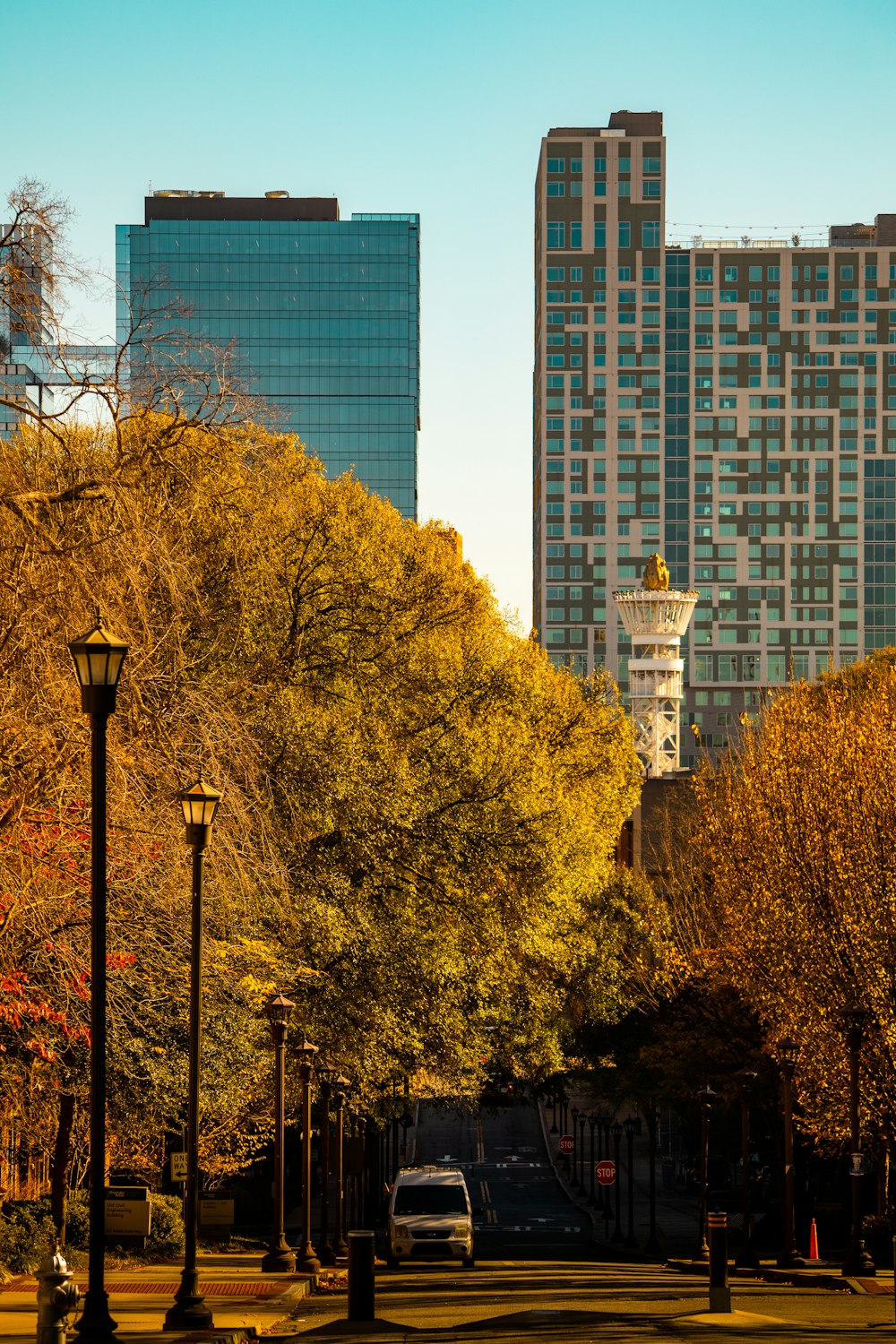 a street with trees and tall buildings